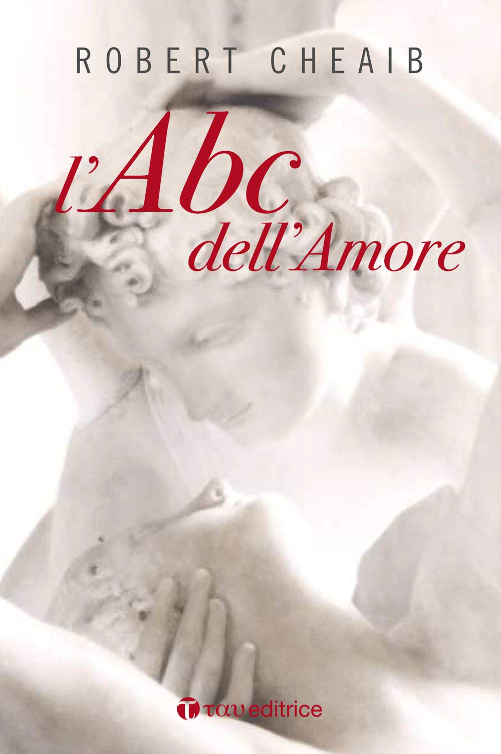 L'ABC dell'amore. Sei parole per costruire e custodire la famiglia. Nuova ediz. book