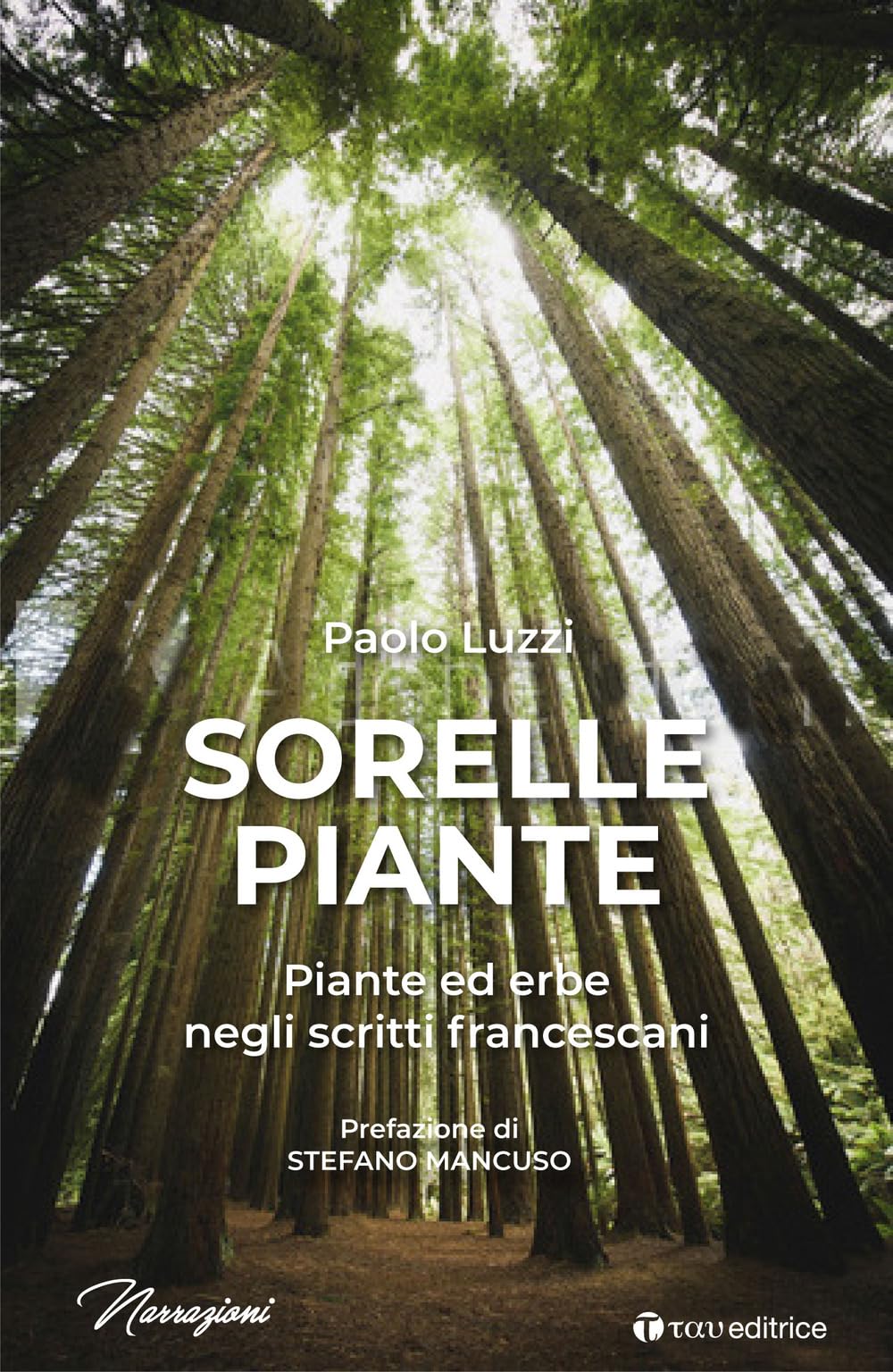 Sorelle piante. Piante ed erbe negli scritti francescani book