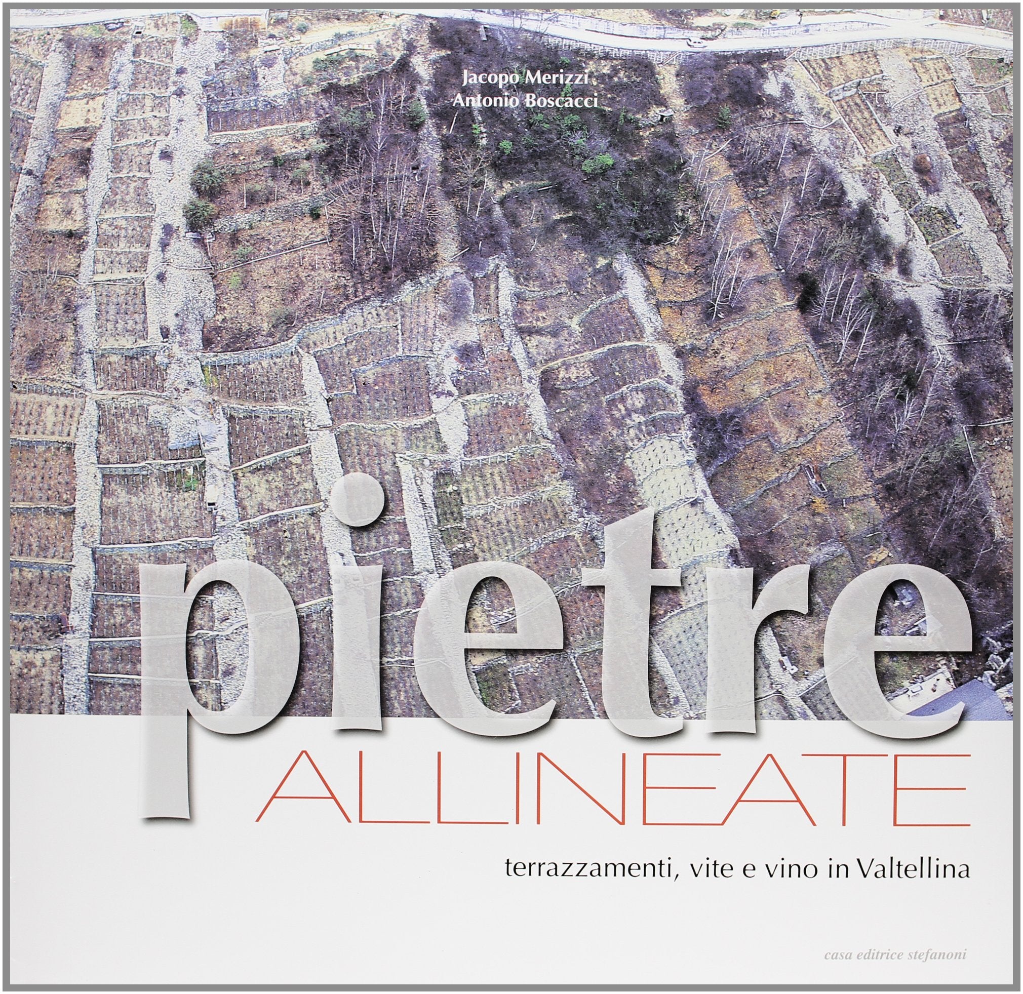 Pietre allineate. Terrazzamenti, vite e vino in Valtellina. Ediz. illustrata Architecture