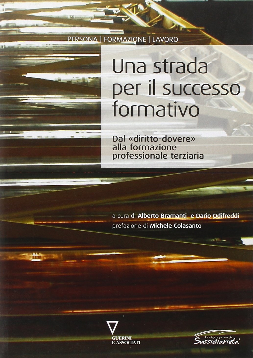Una strada per il successo formativo. Dal «diritto-dovere» alla formazione professionale terziaria book