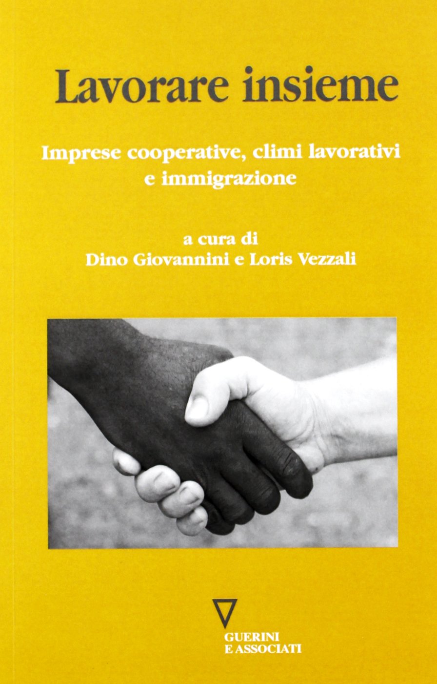 Lavorare insieme. Imprese cooperative, climi lavorativi e immigrazione book