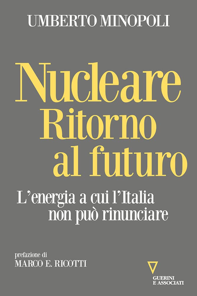 Nucleare. Ritorno al futuro. L'energia a cui l'Italia non può rinunciare (Sguardi sul mondo attuale) Business, Finance & Career