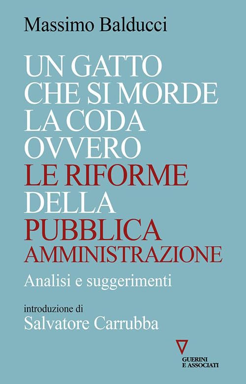 Un gatto che si morde la coda ovvero le riforme della pubblica amministrazione. Analisi e suggerimenti book