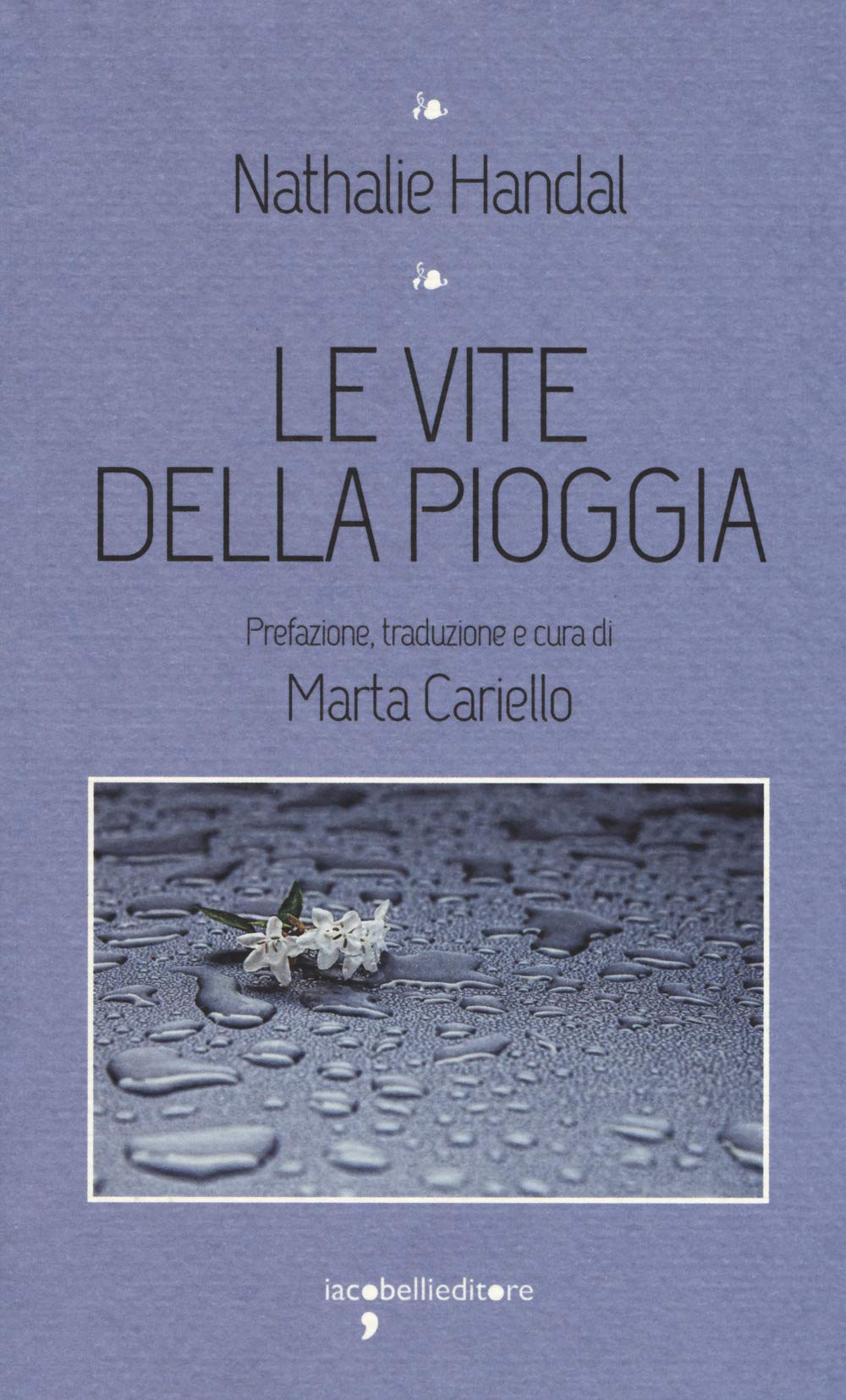 Le vite della pioggia (I leggendari) Poetry