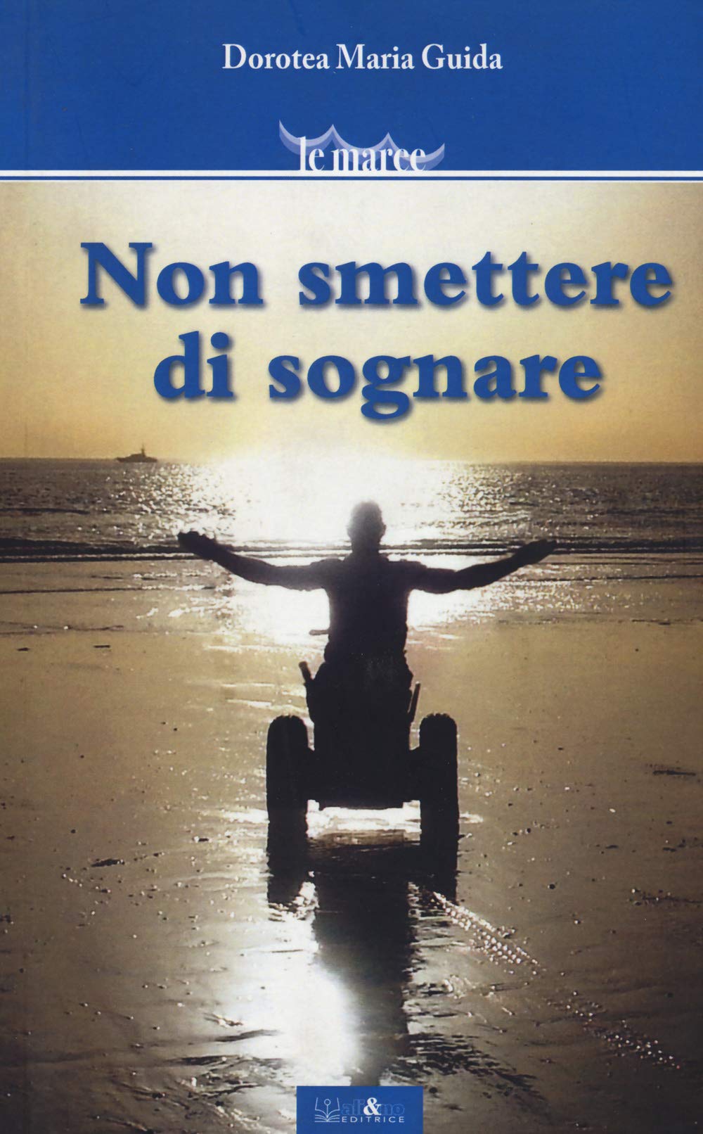 Non smettere di sognare book