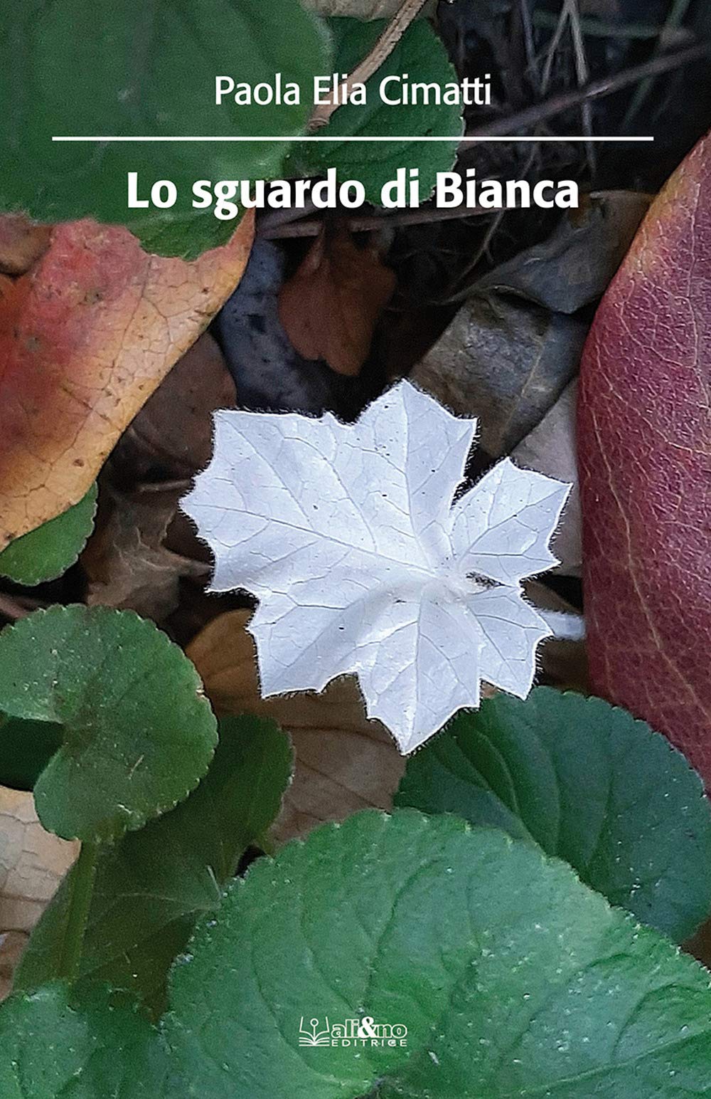 Lo sguardo di Bianca book