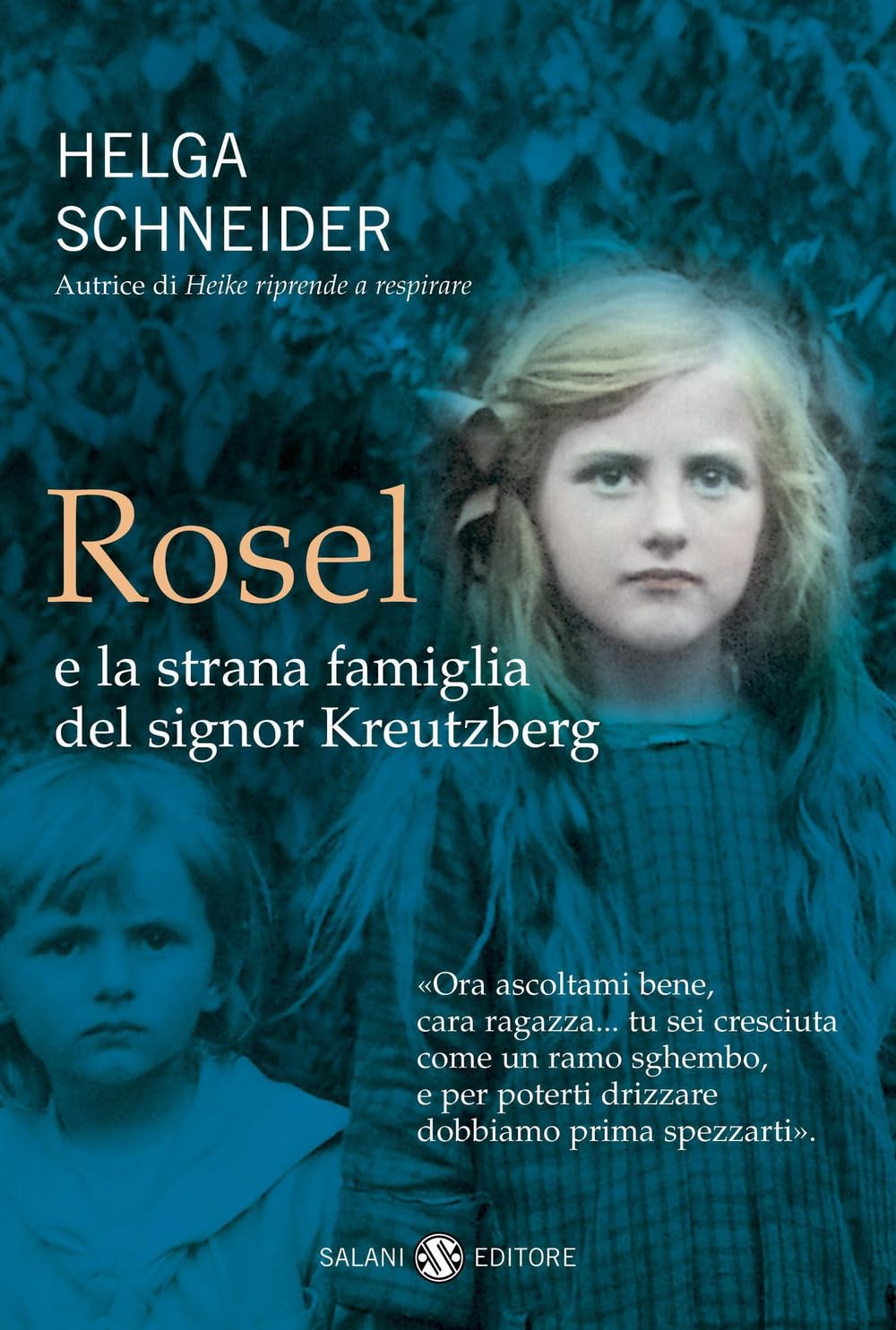 Rosel e la strana famiglia del signor Kreutzberg book