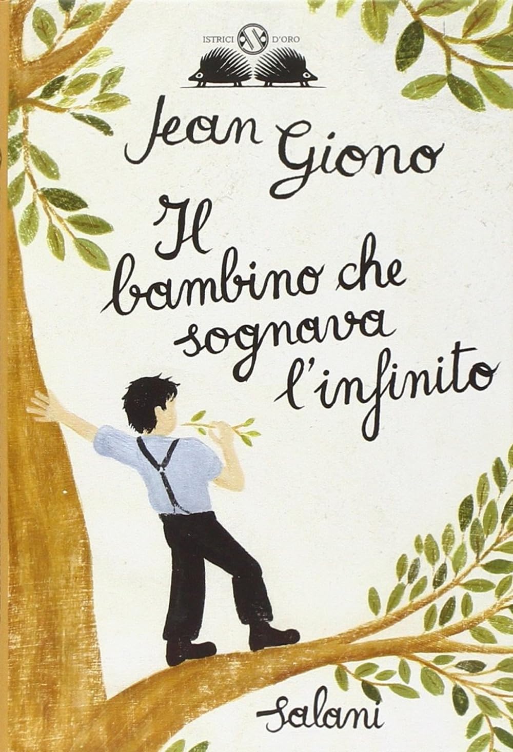 Il bambino che sognava l'infinito book