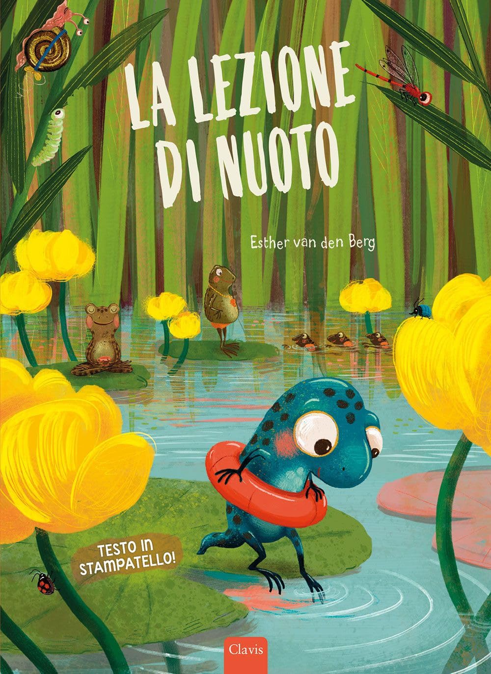 La lezione di nuoto. Ediz. a colori book