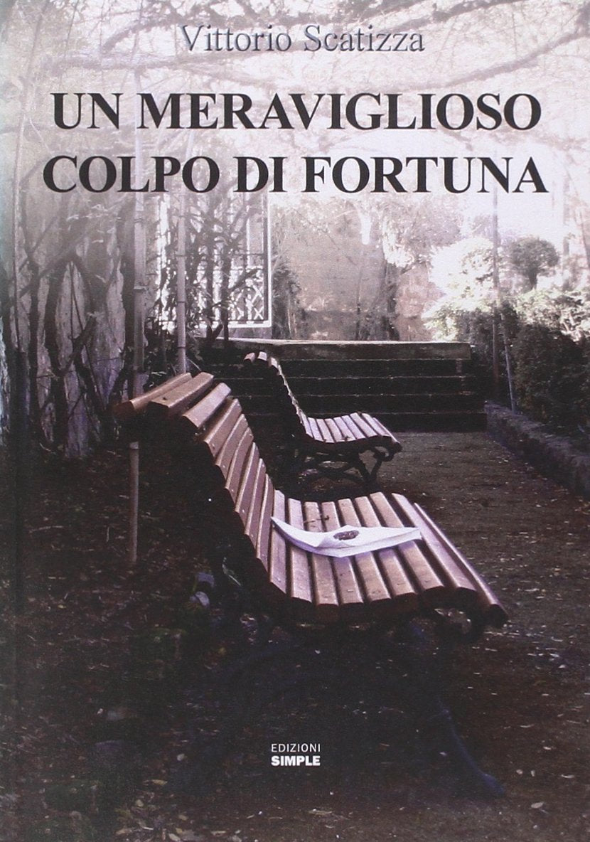 Un meraviglioso colpo di fortuna book