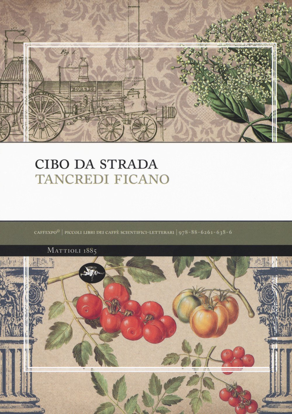 Cibo da strada. Street food: l'unto che nutre il pianeta book