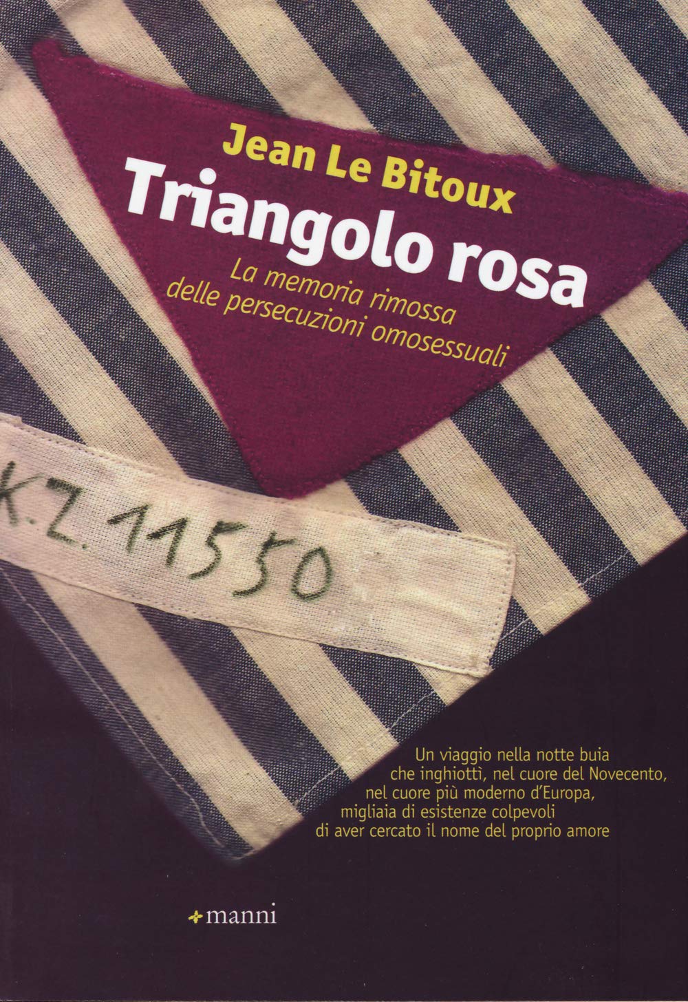 Triangolo rosa. La memoria rimossa delle persecuzioni omosessuali Books