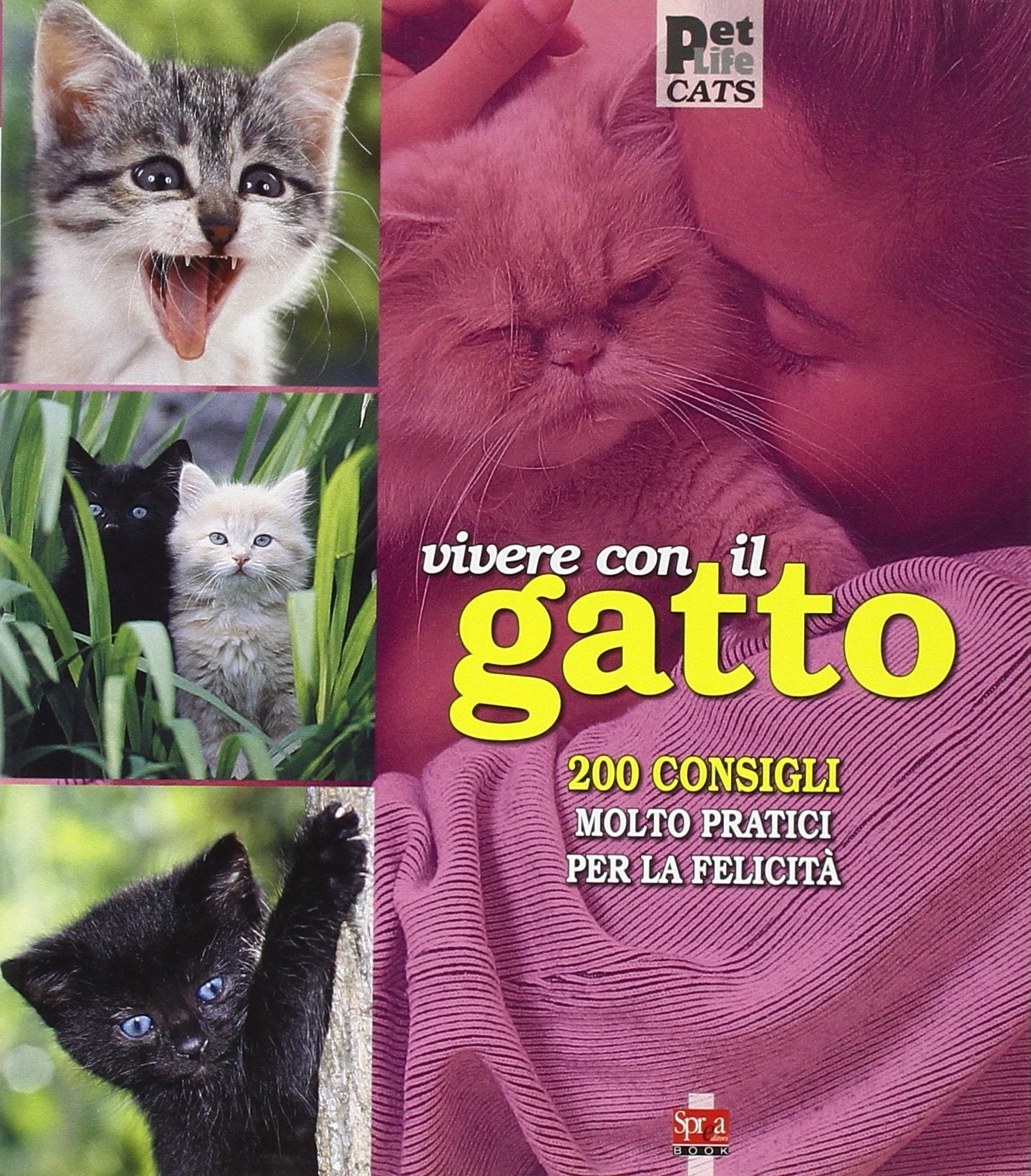 Vivere con il gatto. Ediz. illustrata book