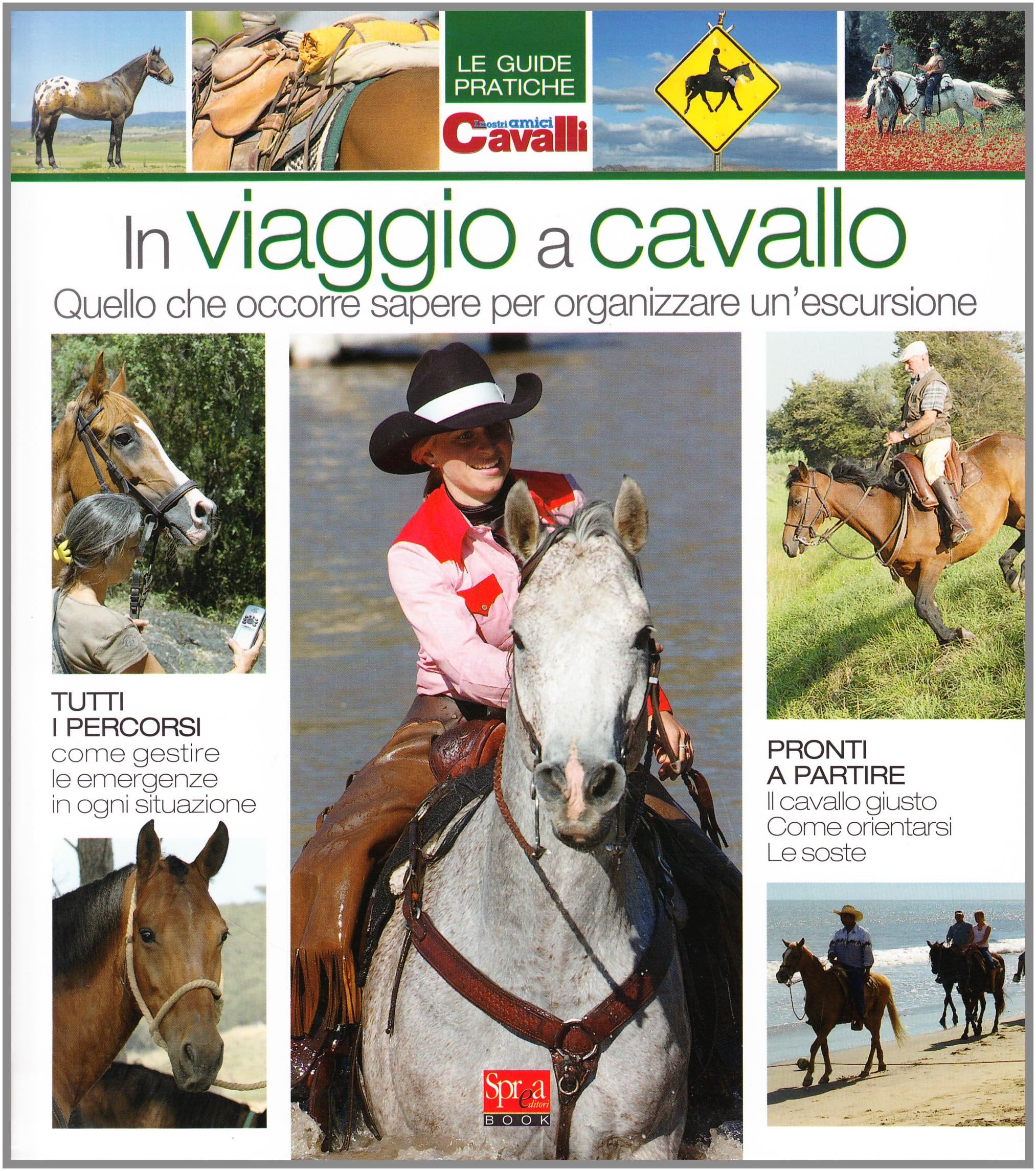 In viaggio a cavallo. Quello che occorre sapere per organizzare un'escursione book
