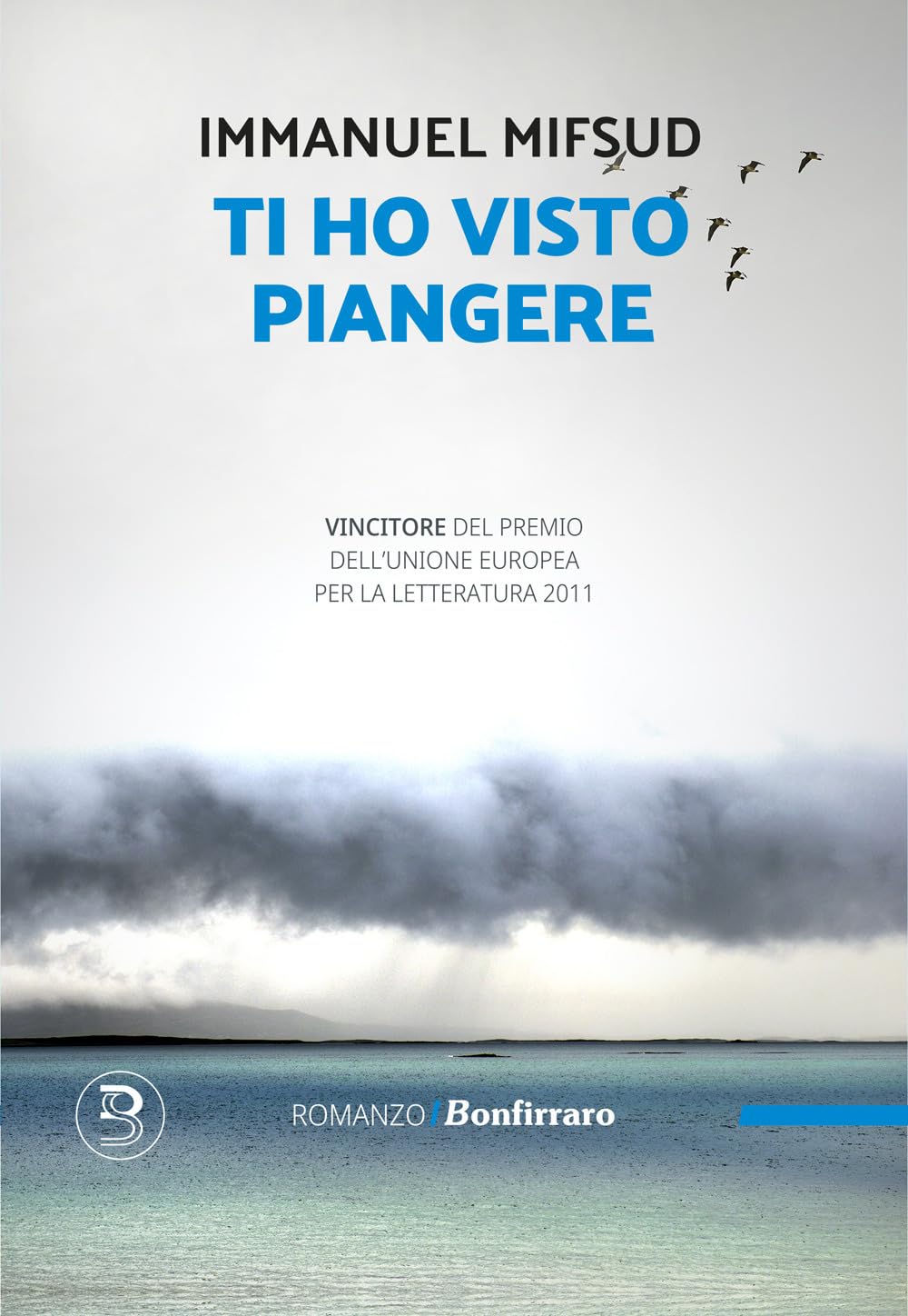 Ti ho visto piangere (Romanzo B.) Contemporary literature