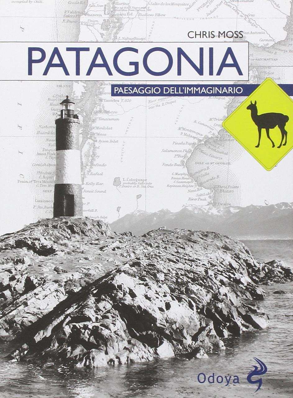 Patagonia. Paesaggio dell'immaginario book