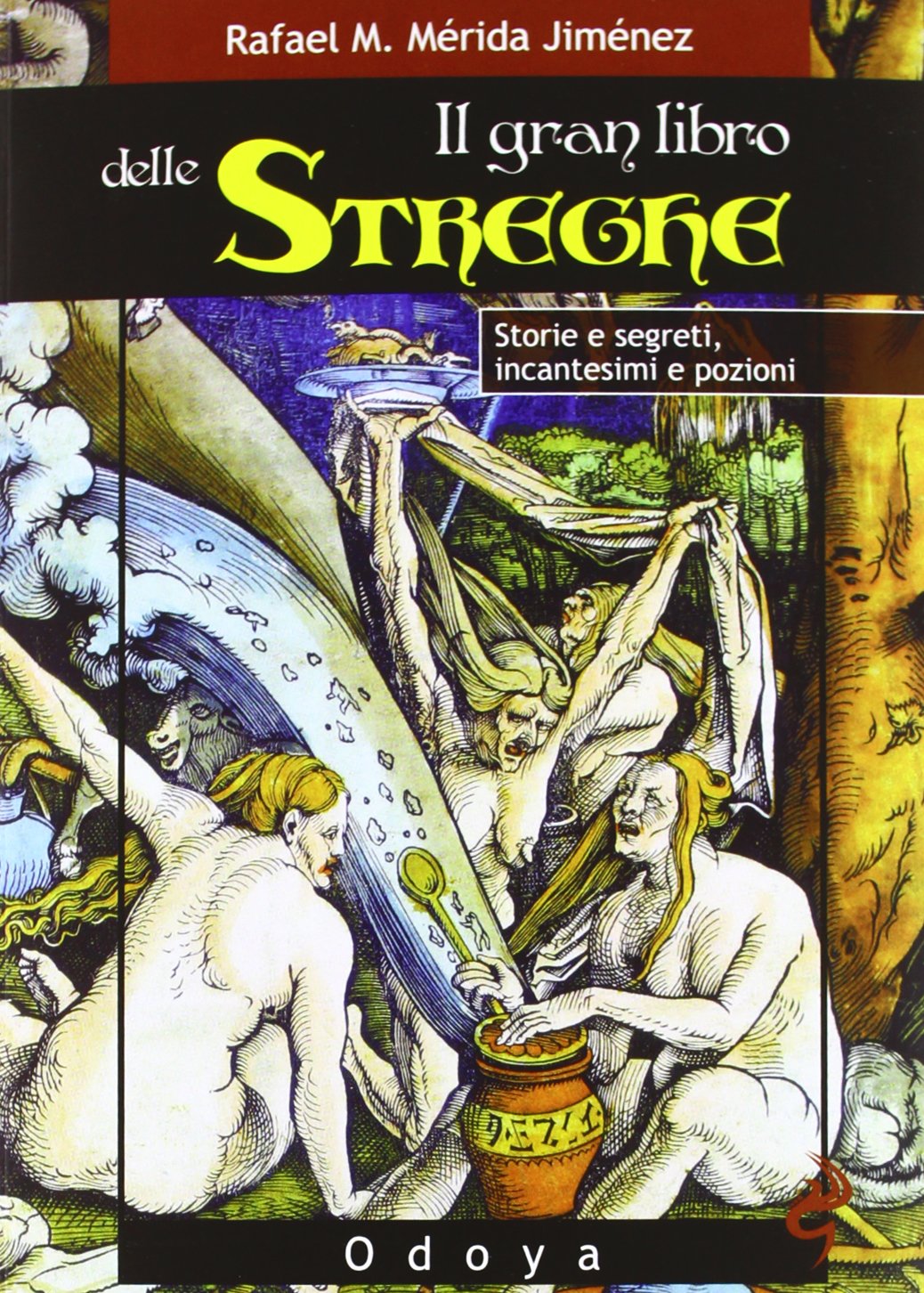 Il gran libro delle streghe. Storie e segreti, incantesimi e pozioni Politics & History