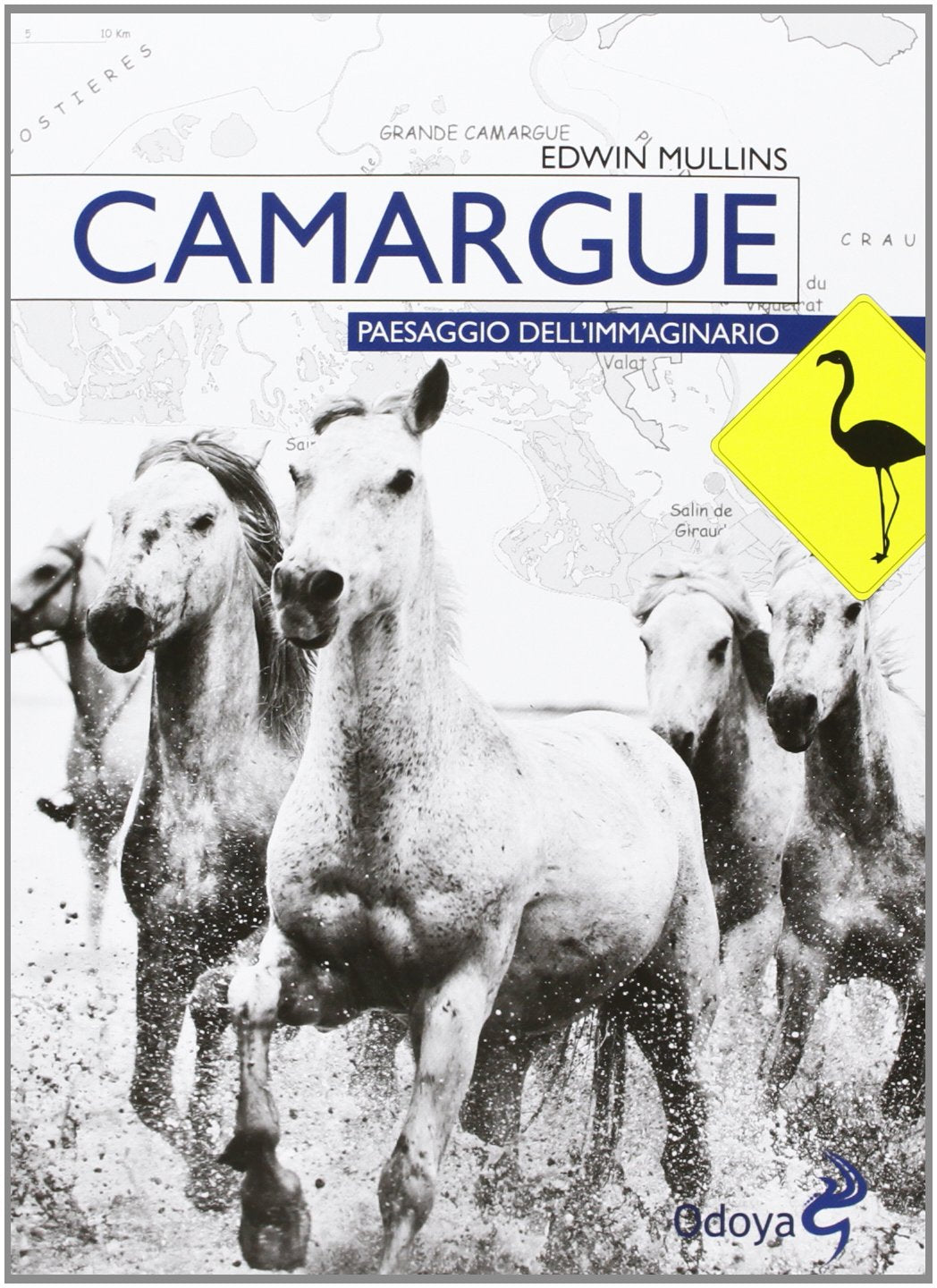 Camargue. Paesaggio dell'immaginario Books