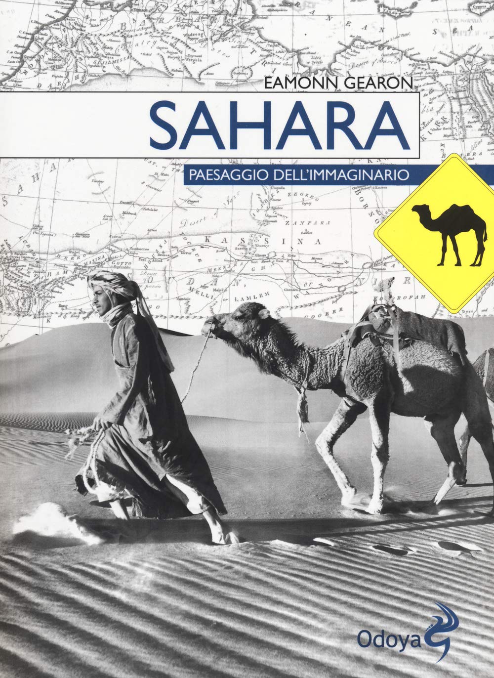 Sahara. Paesaggio dell'immaginario book