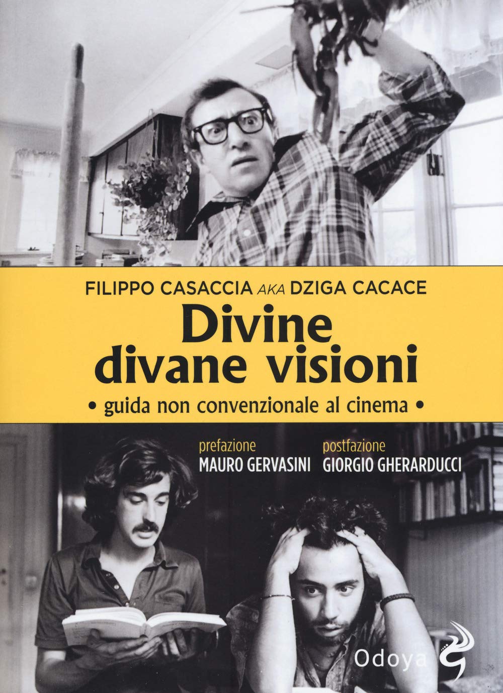 Divine divane visioni. Guida non convenzionale al cinema book