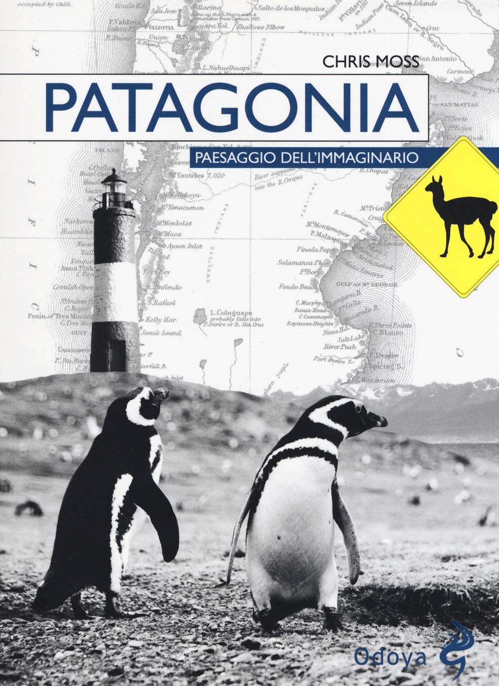 Patagonia. Paesaggio dell'immaginario book