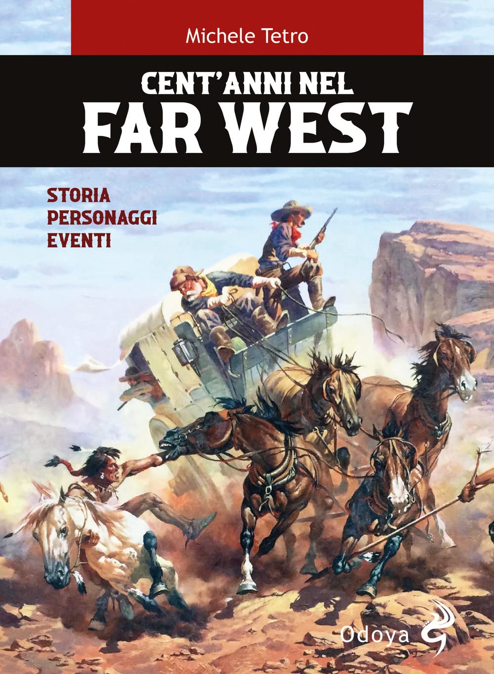 Cent'anni nel Far West. Storia, personaggi, eventi book