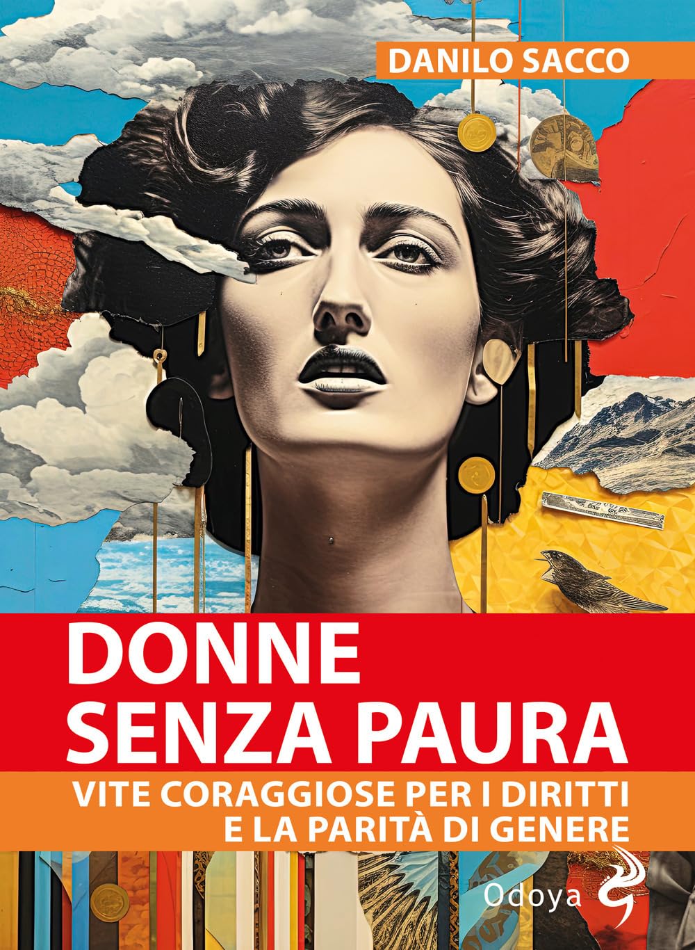 Donne senza paura. Vite coraggiose per i diritti e la parità di genere book
