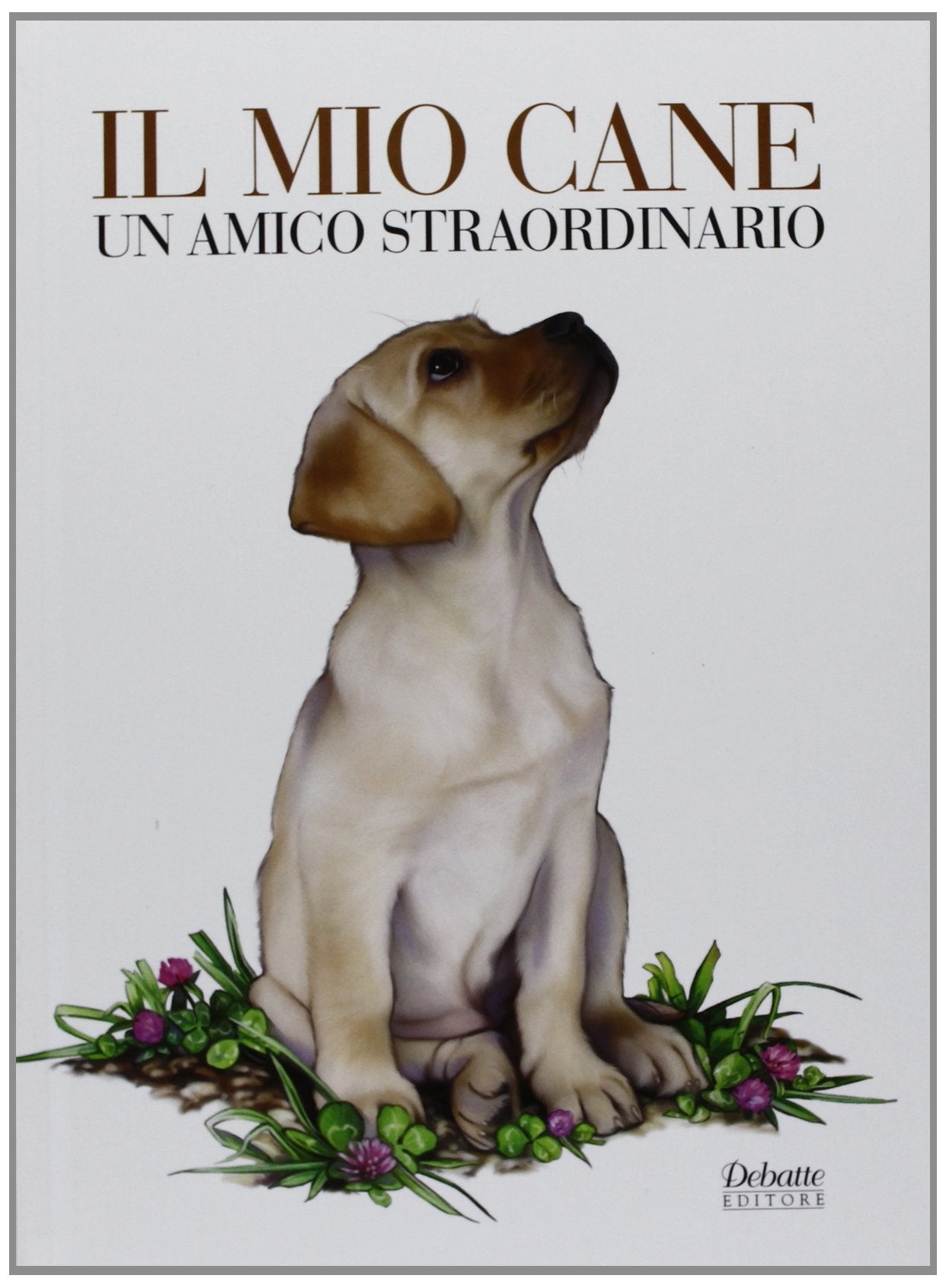 Il mio cane un amico straordinario book