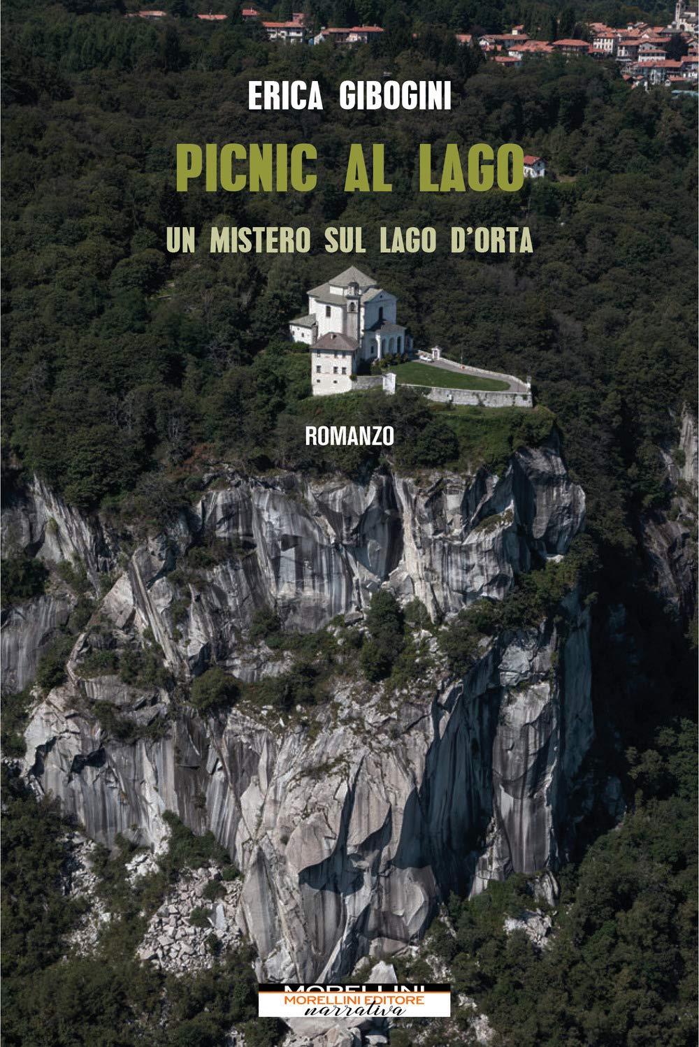 Picnic al lago. Un mistero sul lago d'Orta book