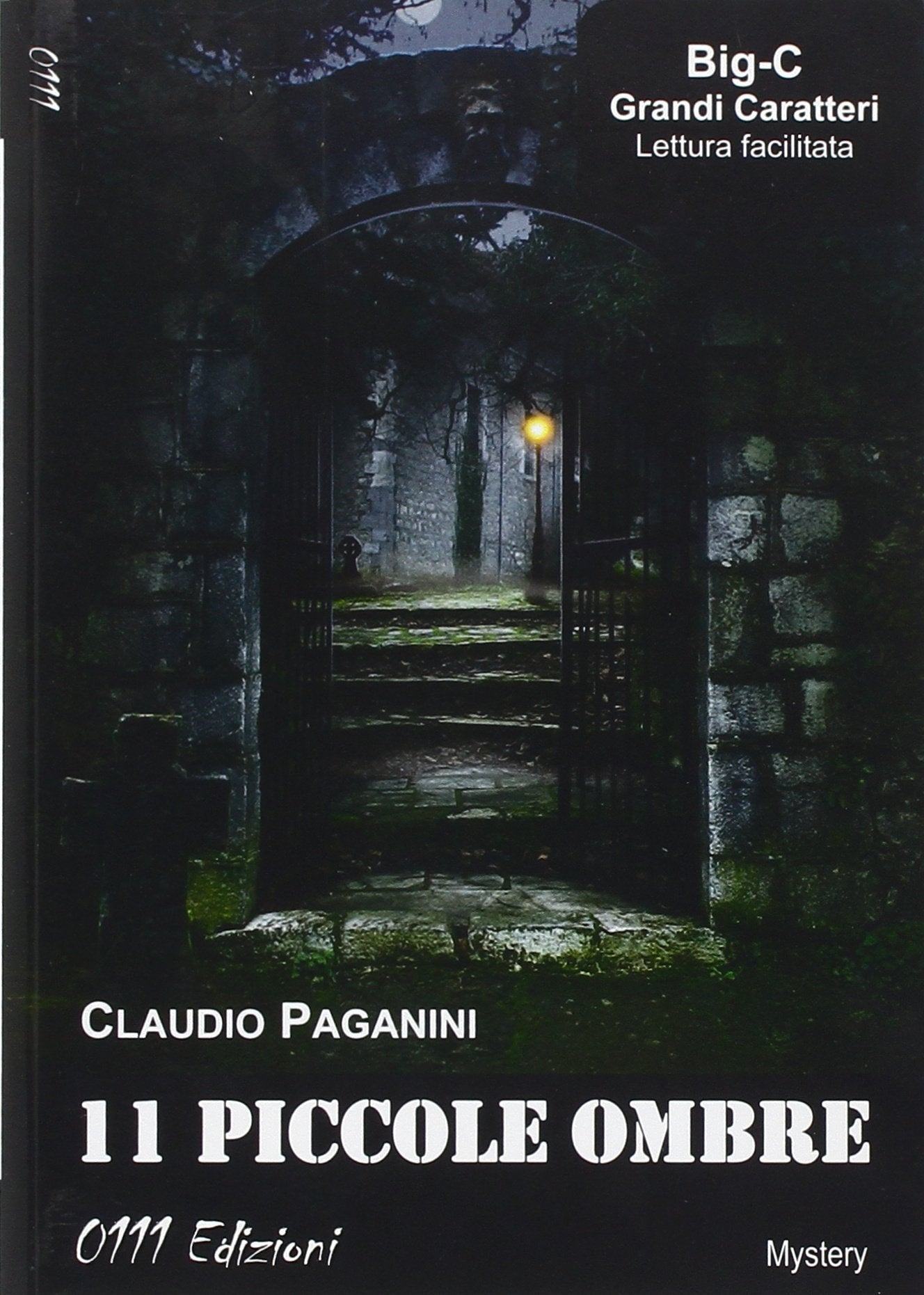 Undici piccole ombre book