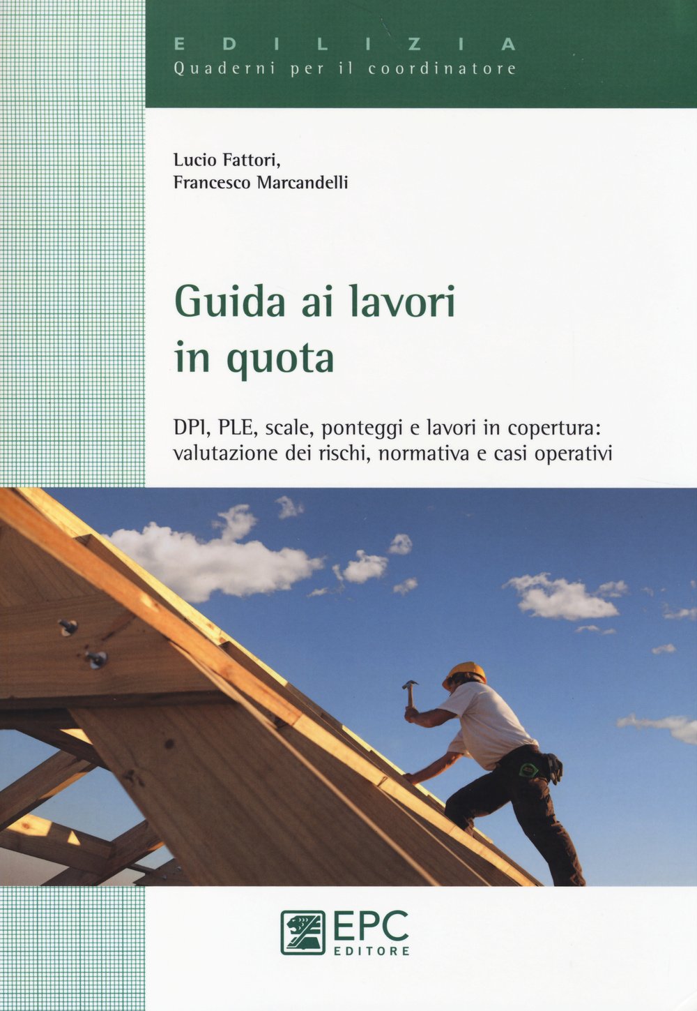 Guida ai lavori in quota. DPI, PLE, scale, ponteggi e lavori in copertura. Valutazione dei rischi, normativa e casi operativi book