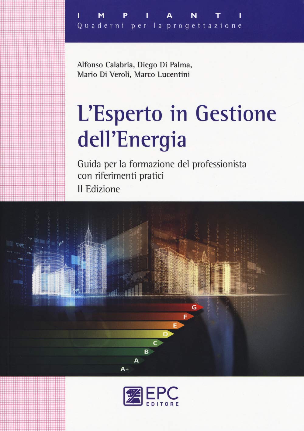 L'esperto in gestione dell'energia. Guida per la formazionre del professionista con riferimenti pratici in allegato. Nuova ediz. Business & Technology