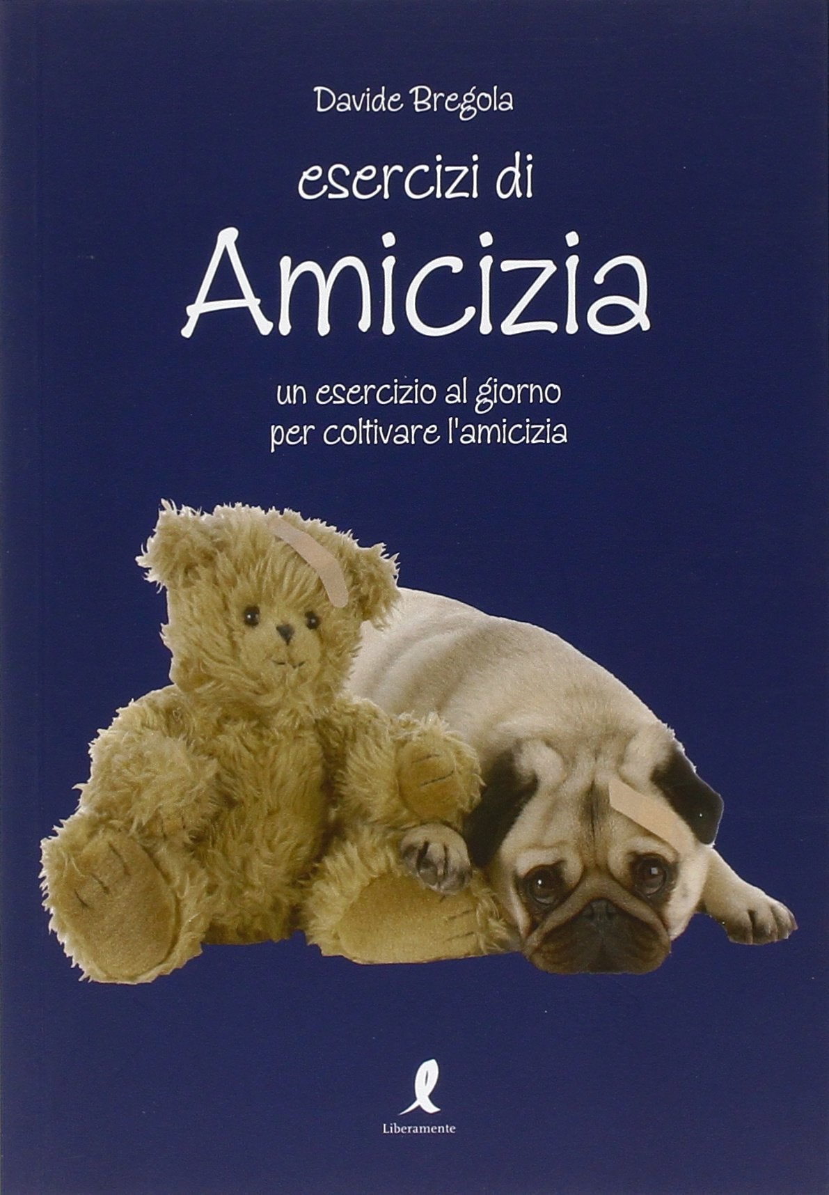 Esercizi di amicizia. Un esercizio al giorno per coltivare l'amicizia book