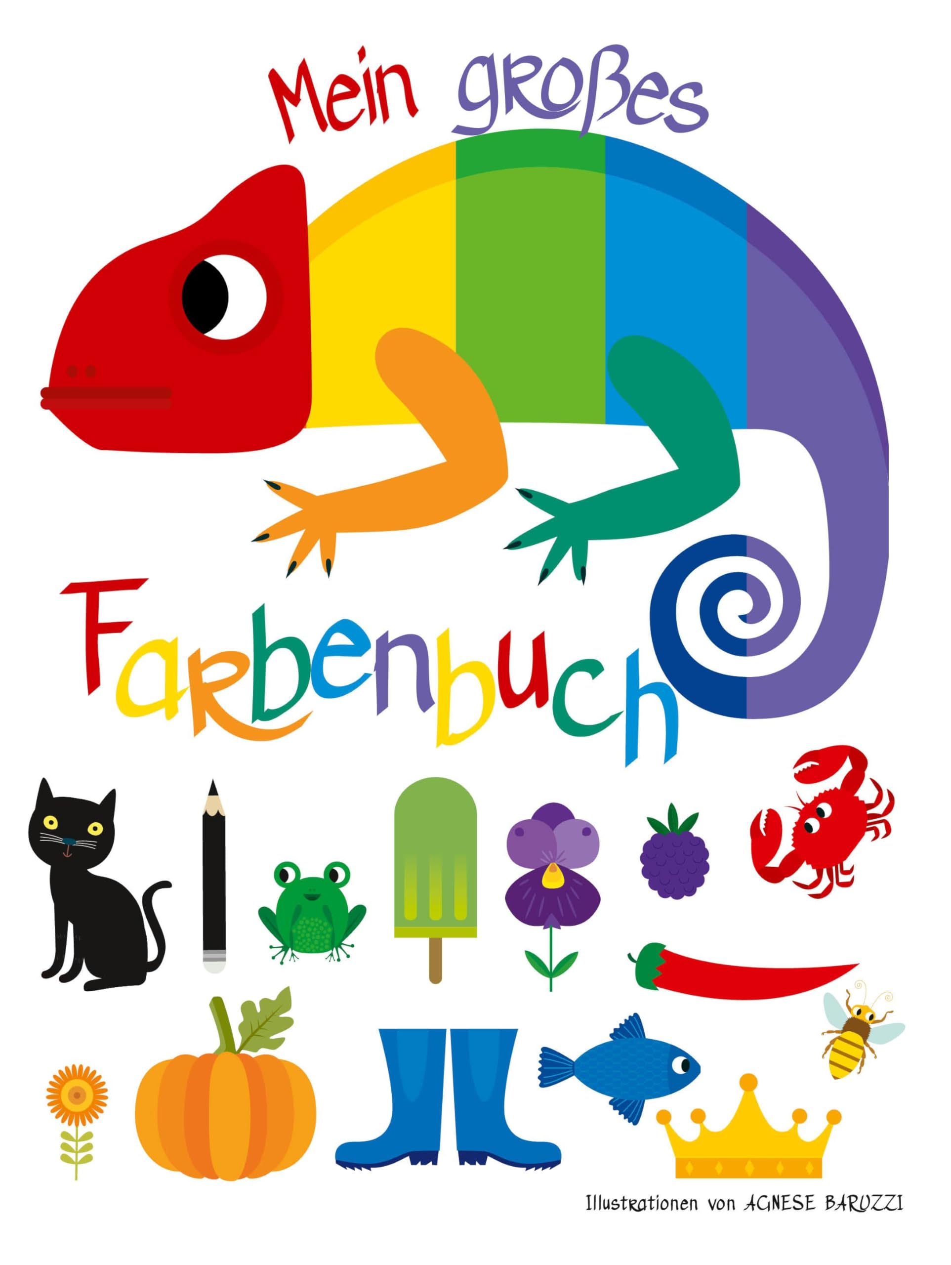 Mein großes Farbenbuch Non-fiction
