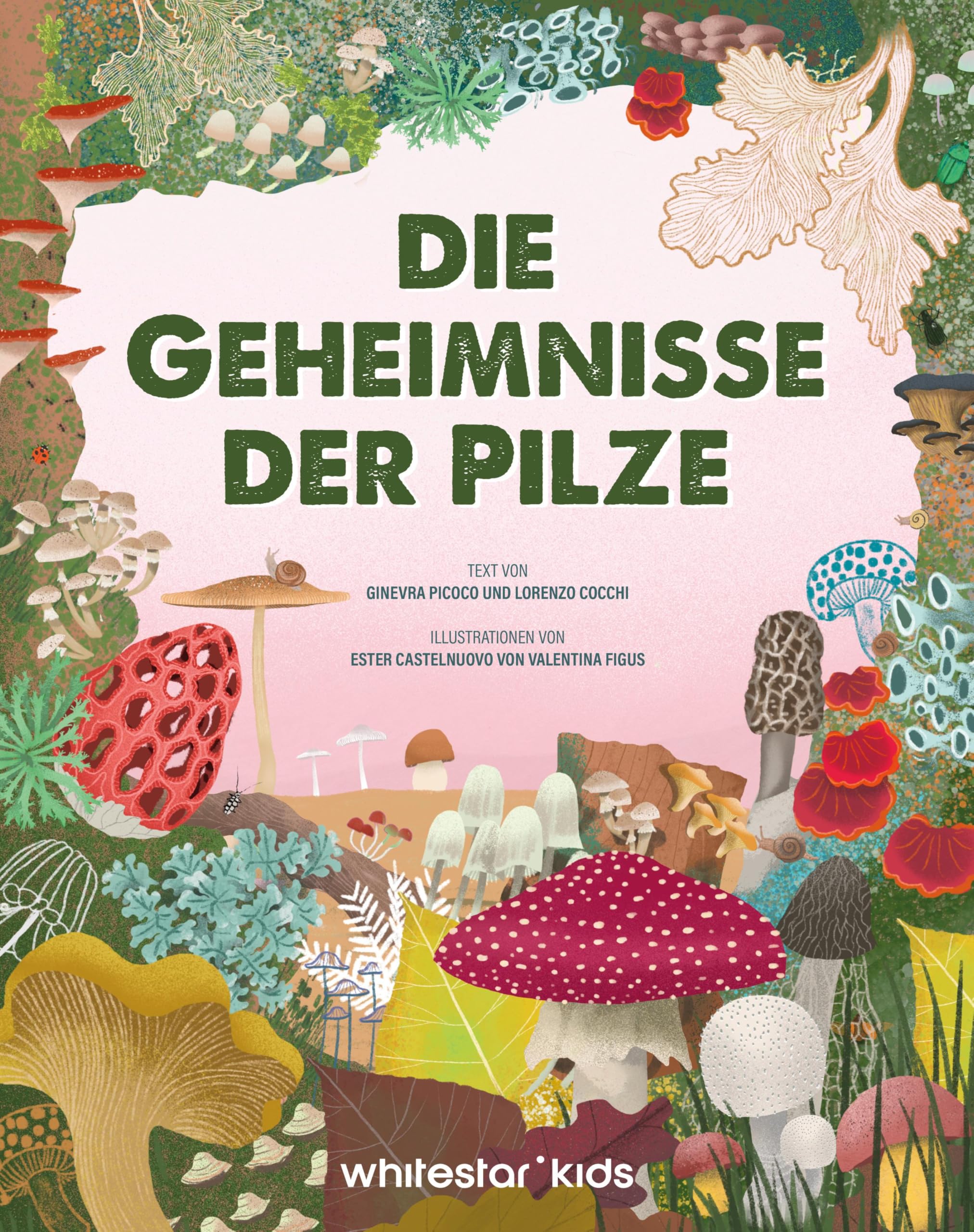 Die Geheimnisse der Pilze Books