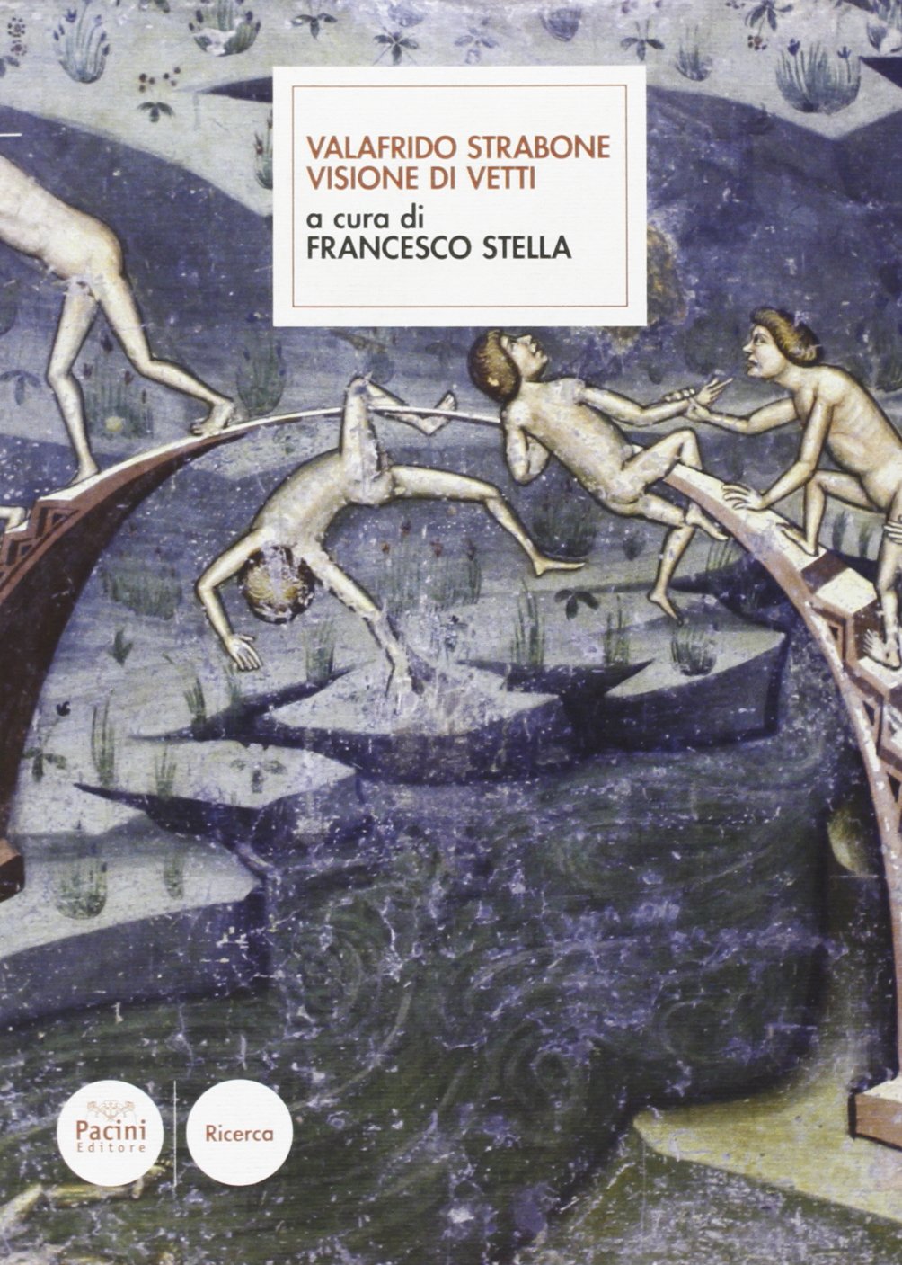 Valafrido Strabone. Visione di vetti Contemporary literature Books