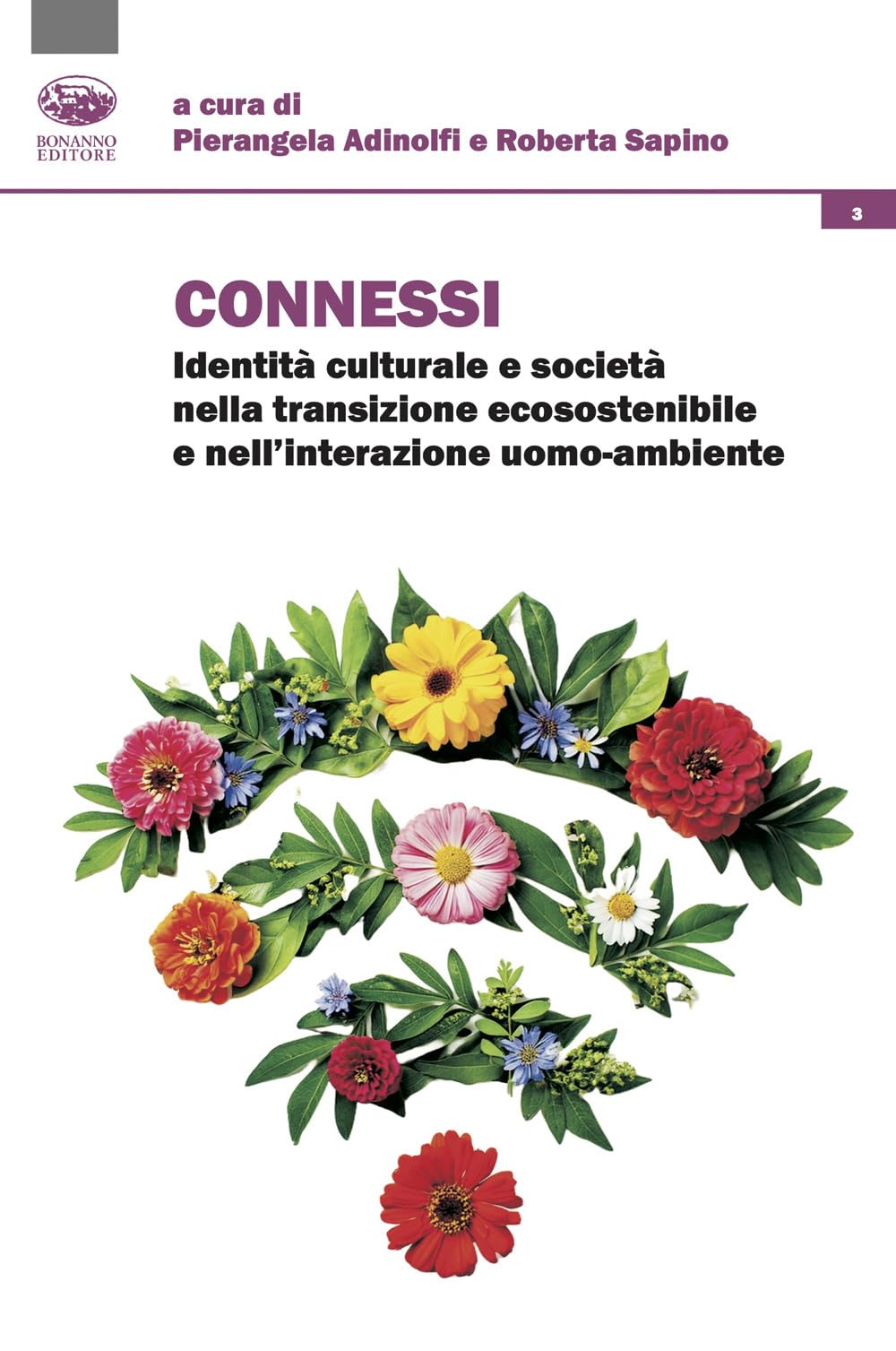 Connessi. Identità culturale e società nella transizione ecosostenibile e nell'interazione uomo-ambiente (Le sisyphe heureux) Books