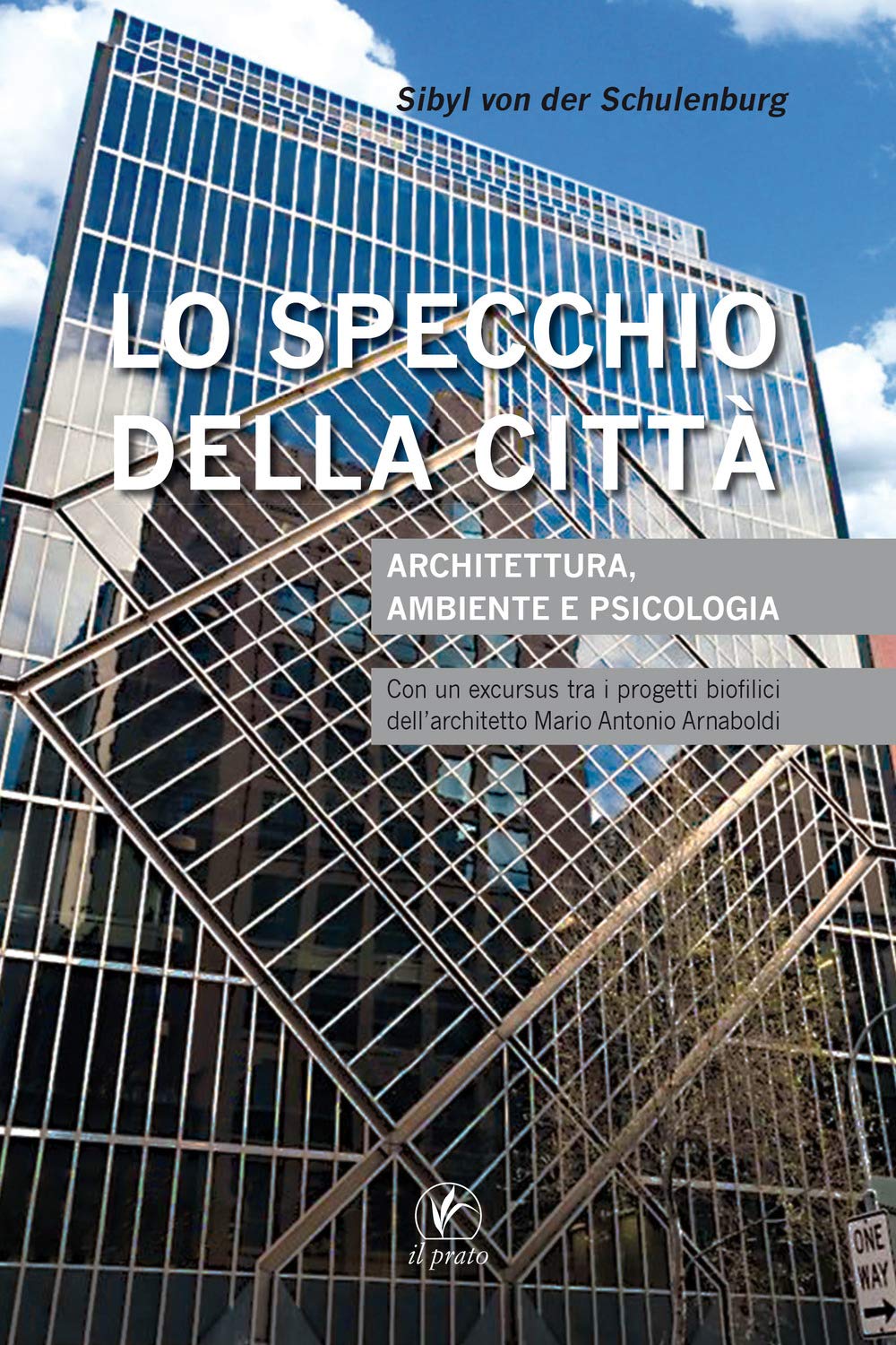 Lo specchio della città. Architettura, ambiente e psicologia Books