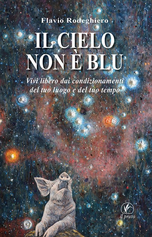 Il cielo non è blu. Vivi libero dai condizionamenti del tuo luogo e del tuo tempo Contemporary literature