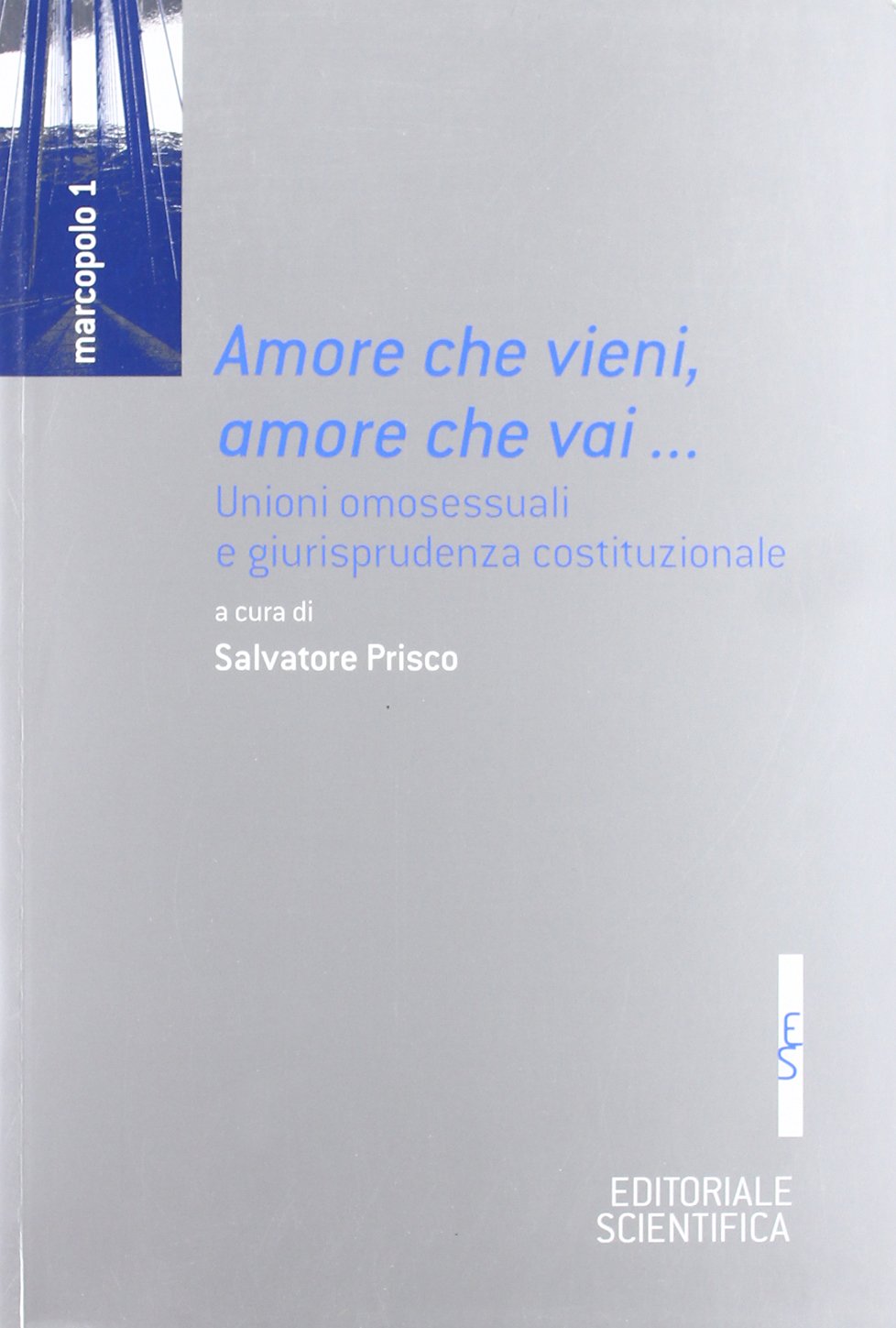 Amore che vieni, amore che vai... Unioni omossessuali e giurisprudenza costituzionale book