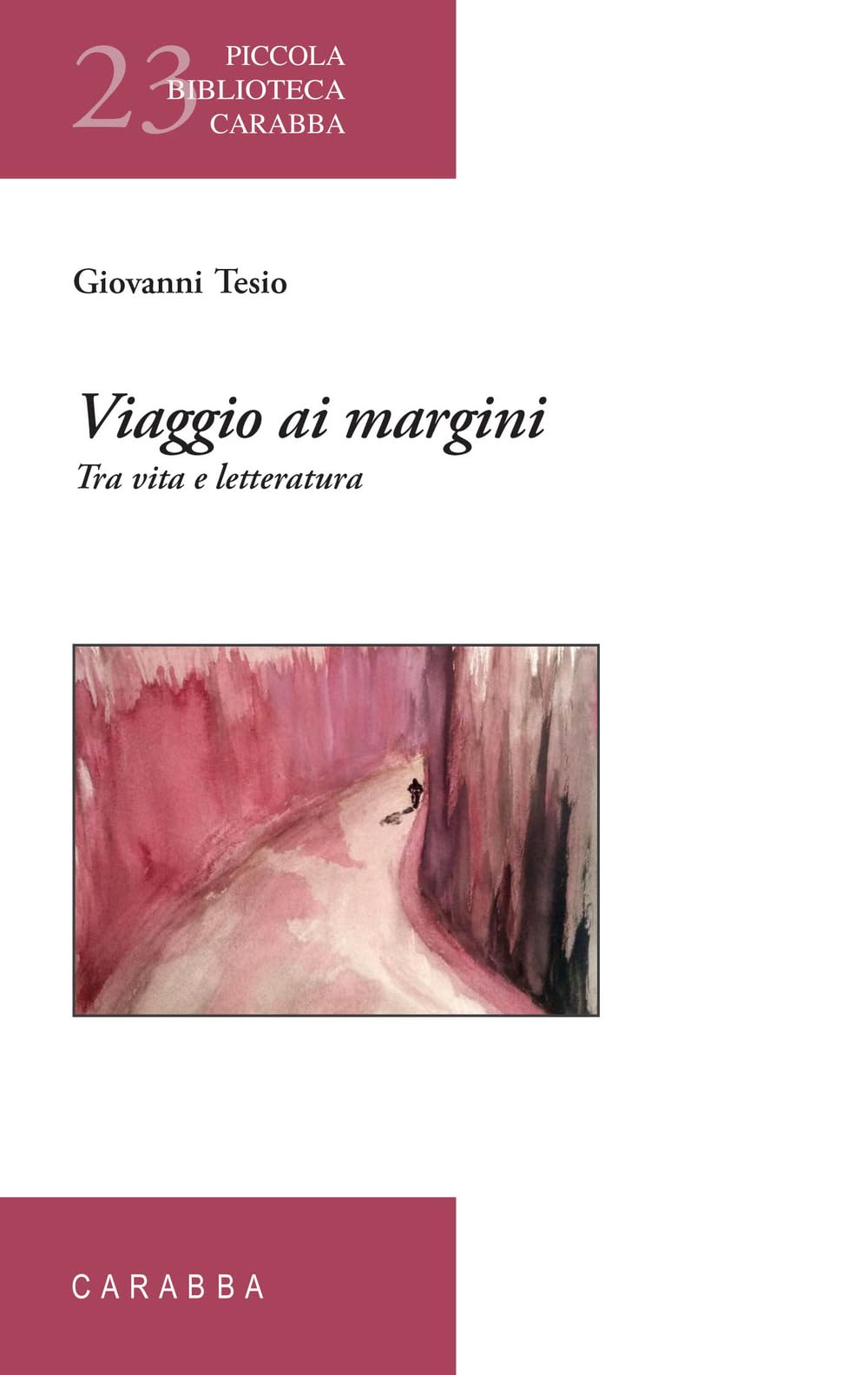Viaggio ai margini. Tra vita e letteratura book
