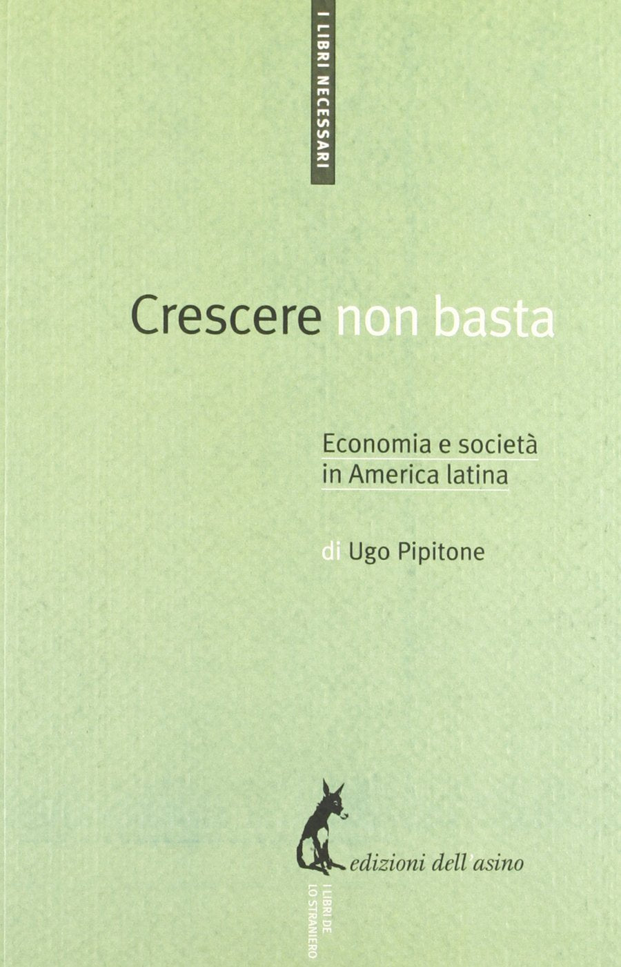 Crescere non basta. Economia e società in America Latina book