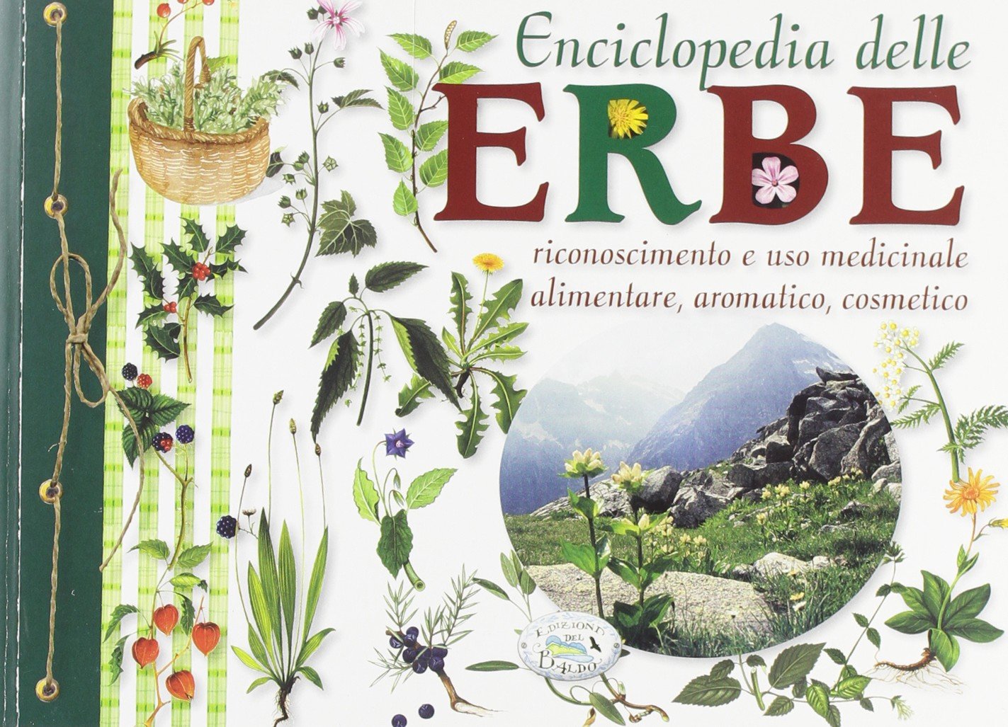 Enciclopedia delle erbe. Riconoscimento e uso medicinale alimentare, aromatico, cosmetico Garden & Plants