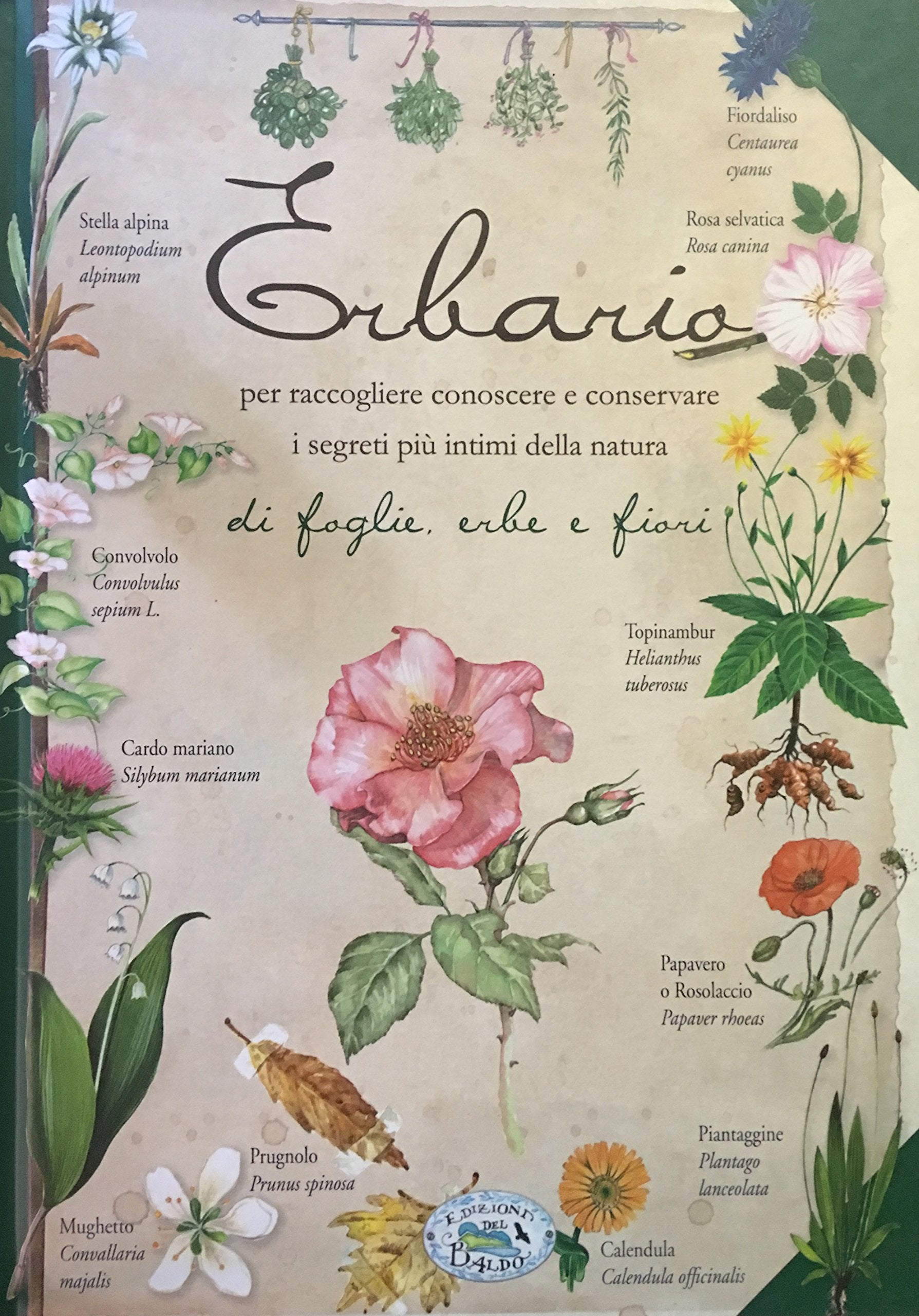 Erbario. Fiori, Erbe E Foglie Health, Nutrition & Fitness