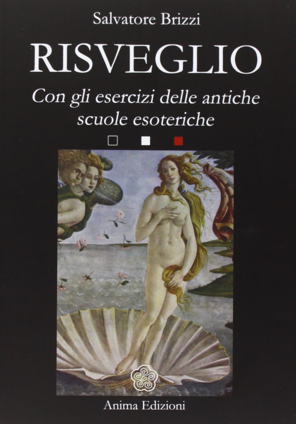 Risveglio. Con esercizi delle antiche scuole esoteriche (Saggi per l'anima) Religion & Esotericism