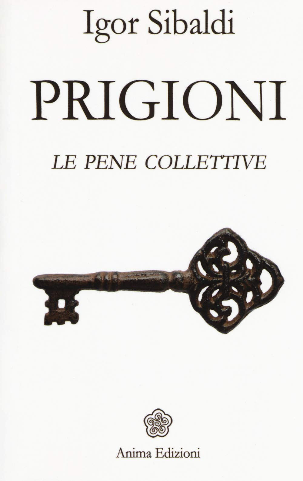 Prigioni. Le pene collettive (Saggi per l'anima) Books