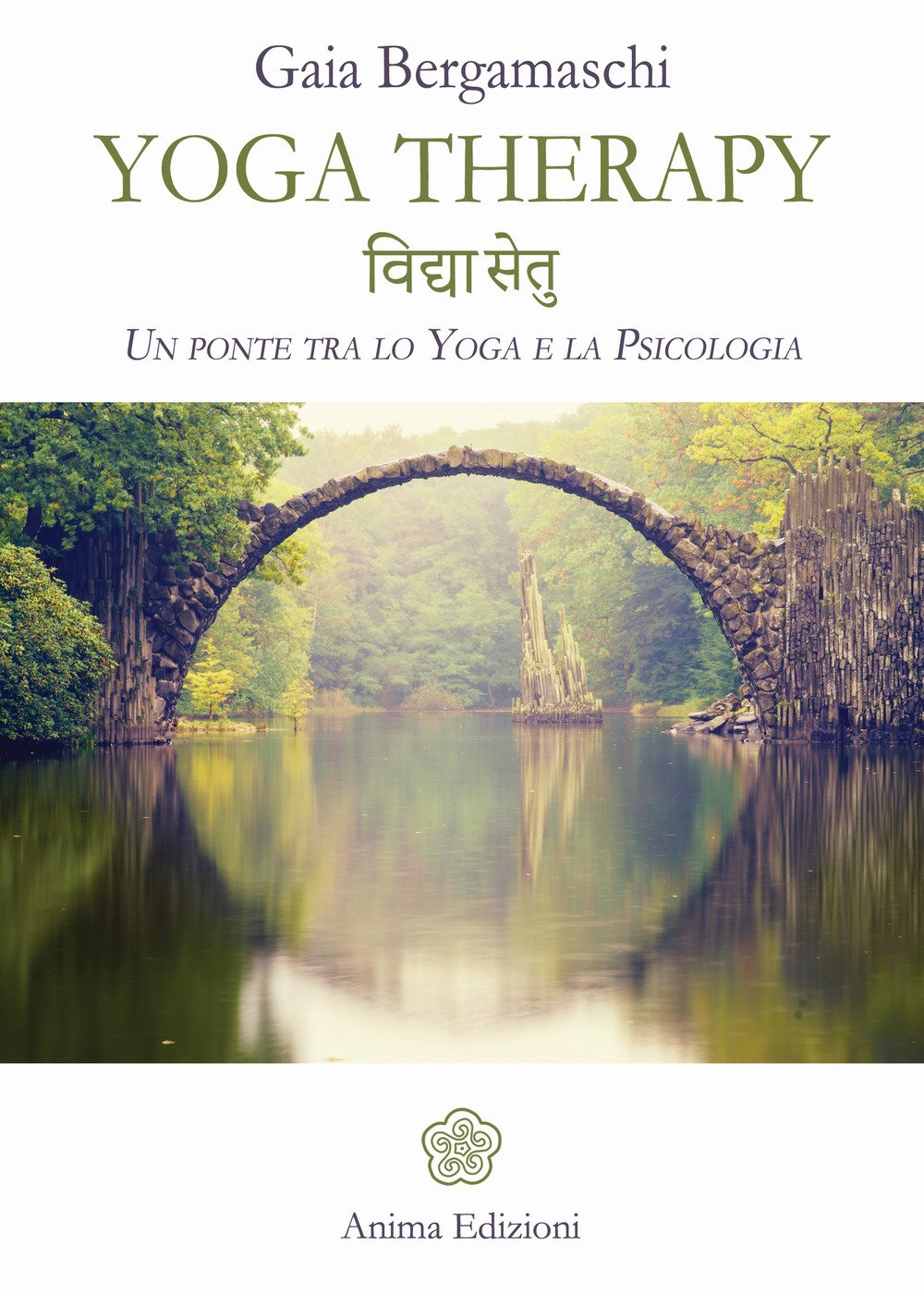Yoga therapy. Un ponte tra lo yoga e la psicologia (Manuali per l'anima) Lifestyle
