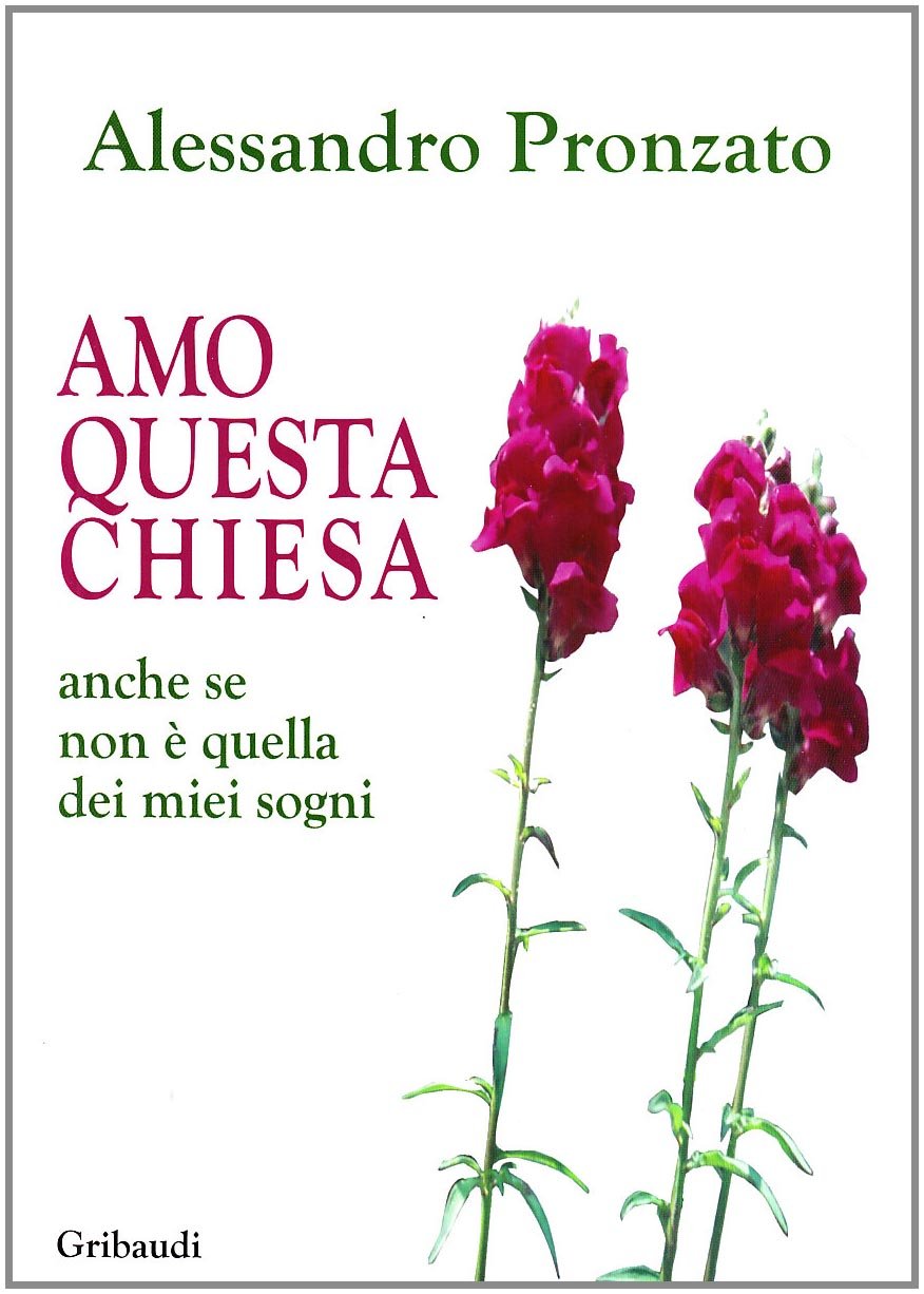 Amo questa Chiesa. Anche se non è quella dei miei sogni book