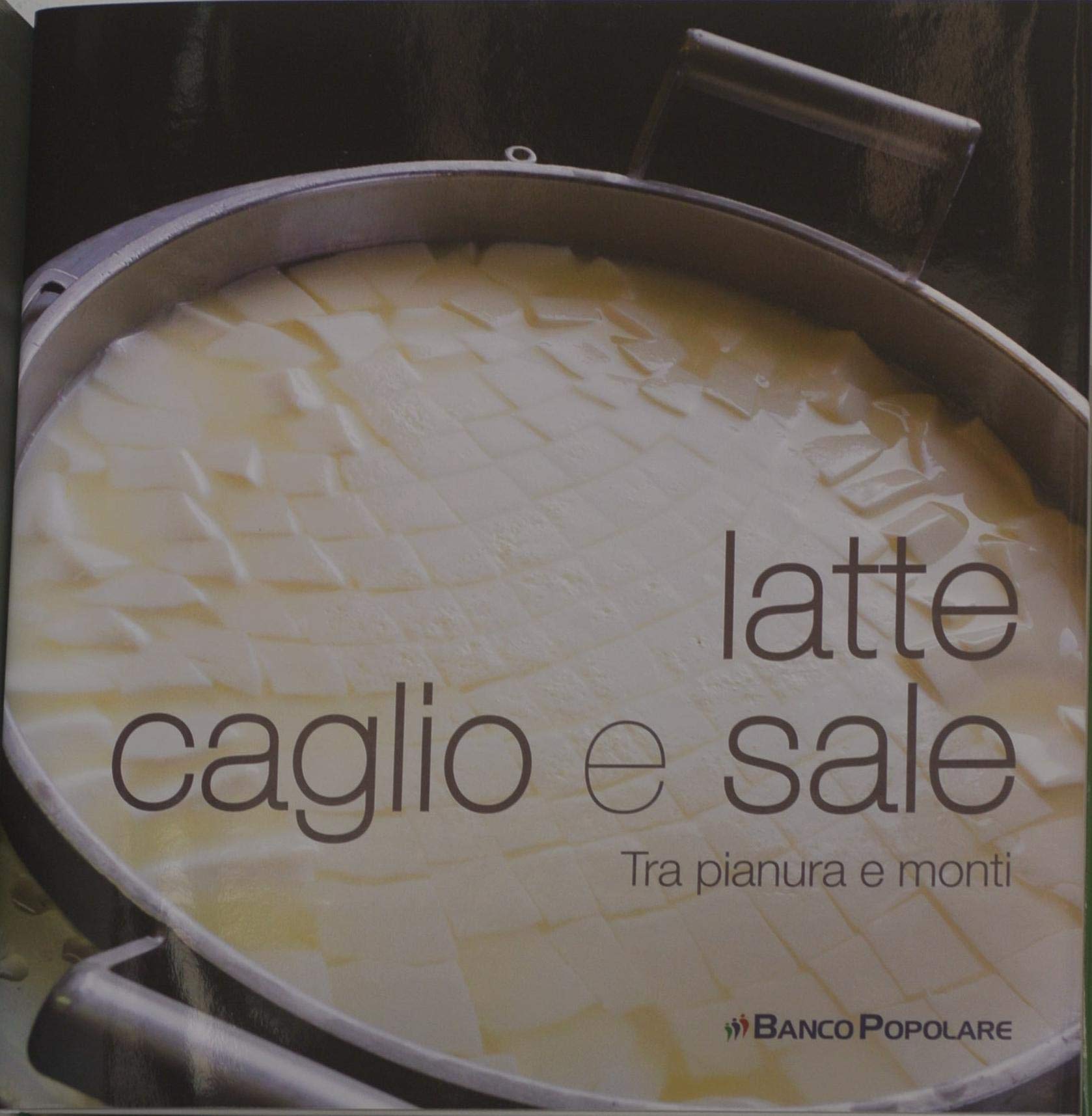 Latte caglio e sale. Tra pianura e monti book