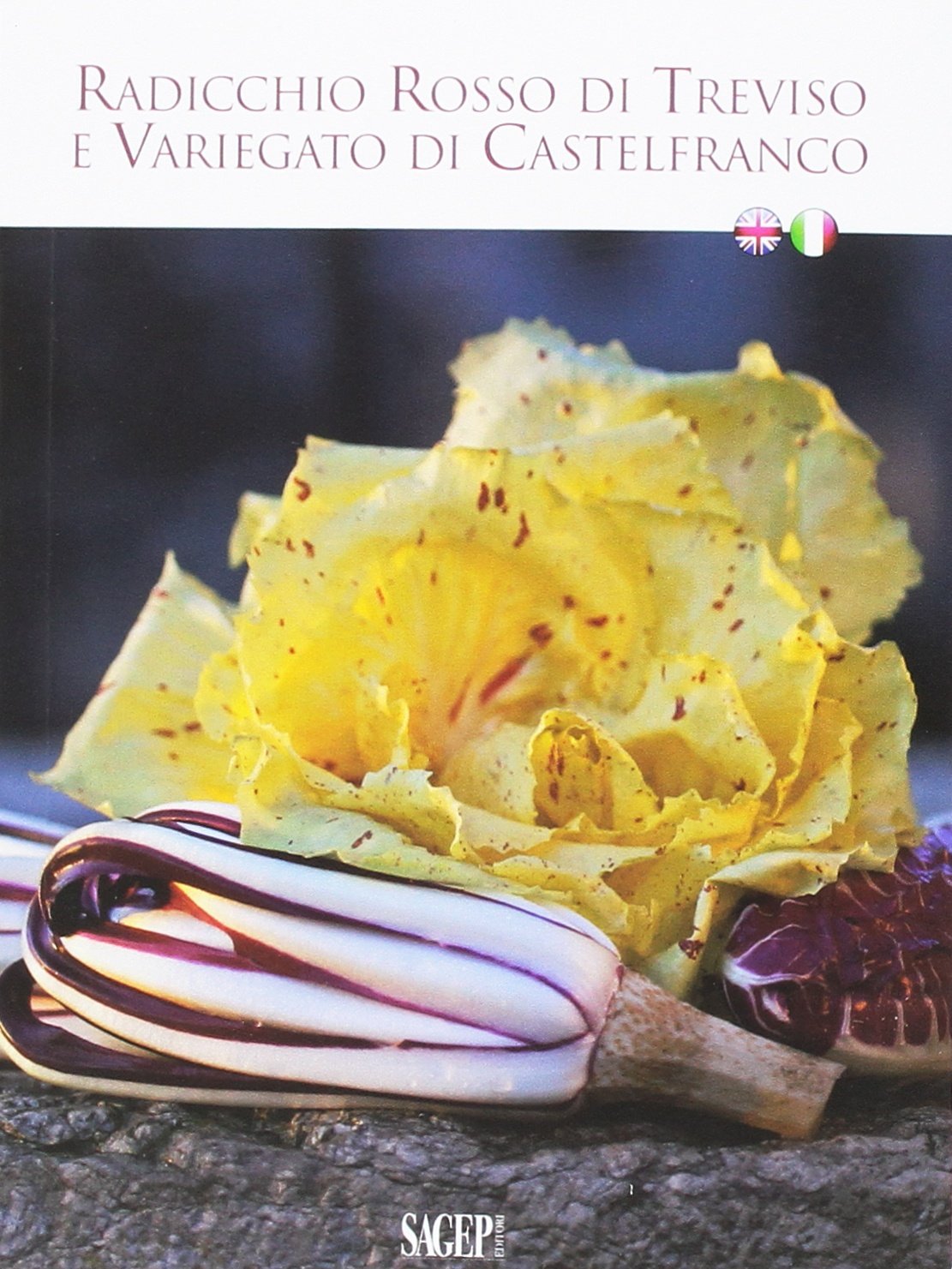 Radicchio Rosso di Treviso e Variegato di Castelfranco. Ediz. bilingue book